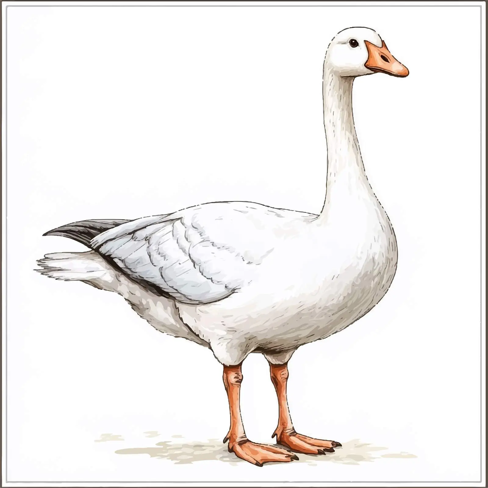 Hand-Drawn Colorful White Goose Sketch — free download from Dotvec