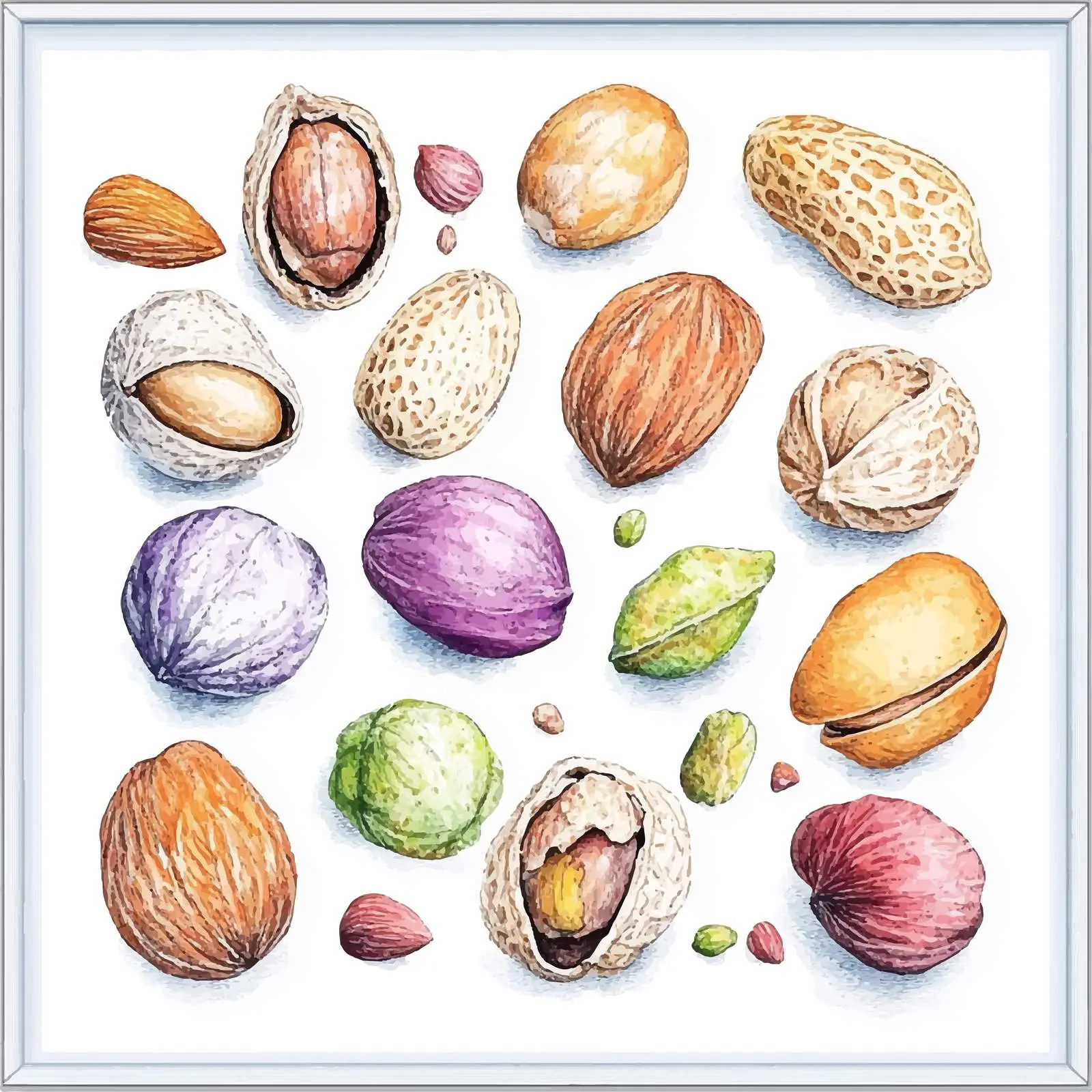 Hand-Drawn Colorful Nut Sketches — free download from Dotvec