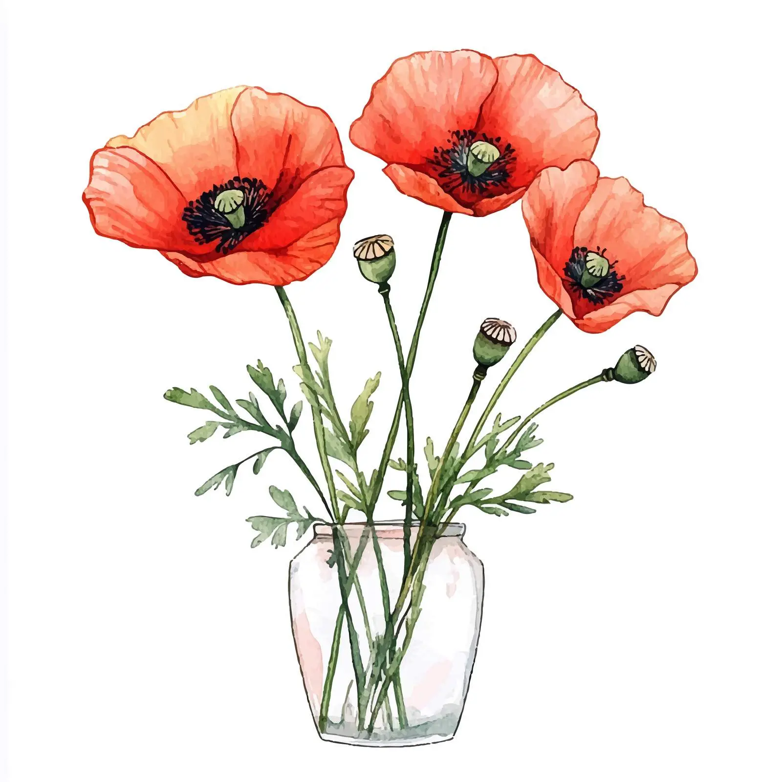 Hand-Drawn Colorful Poppy Flower Vectors — free download from Dotvec