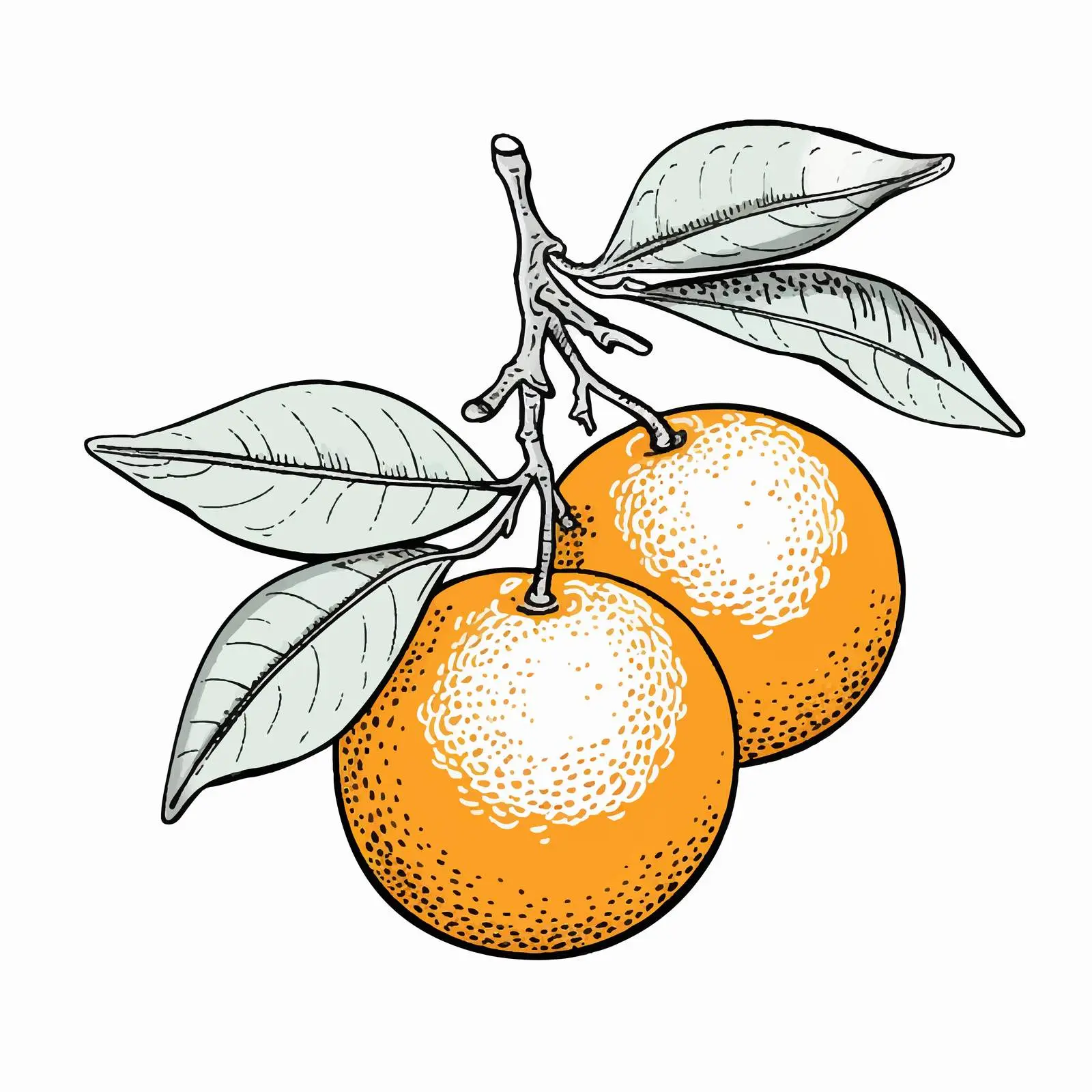 Coloring Illustration of an Orange for Kids — free download from Dotvec