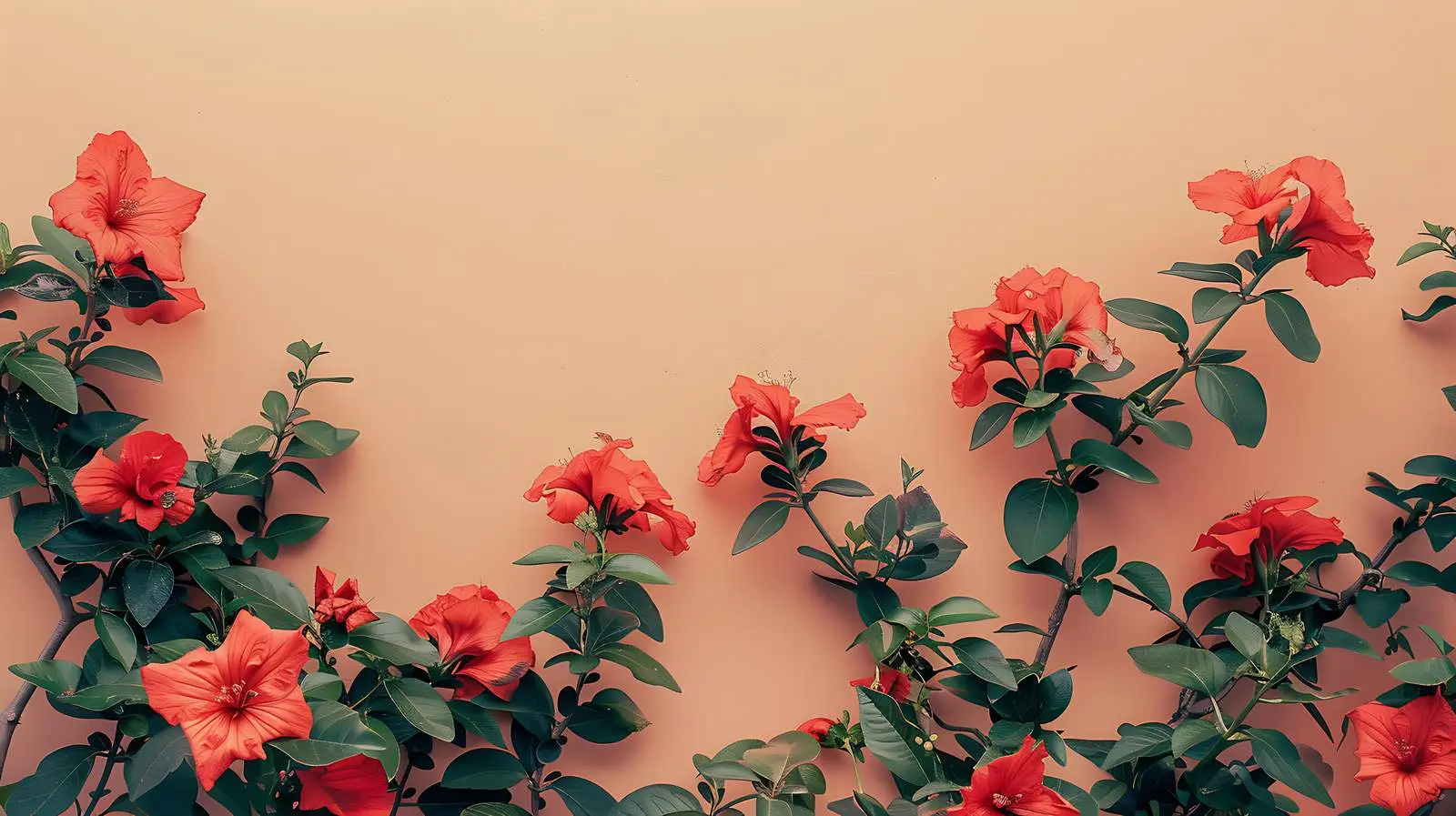 Vibrant Red Flowers with Green Leaves on Coral Background — free download from Dotvec