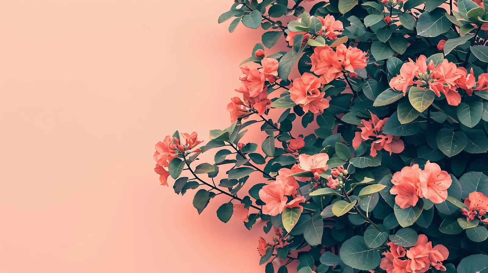 Vibrant Red Flowers with Green Leaves on Coral — free download from Dotvec