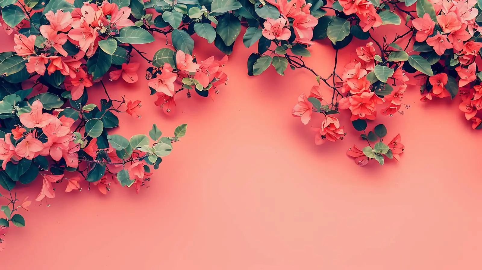 Vibrant Red Flowers Surrounded by Green Foliage – free plant detail image from Dotvec