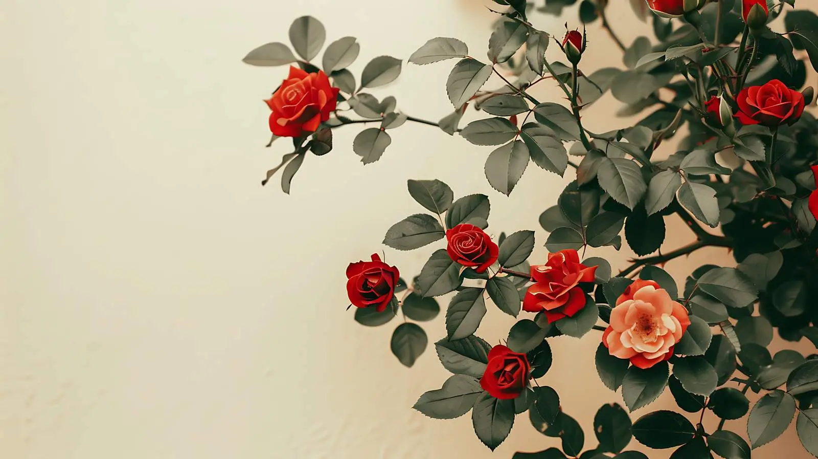 Vibrant Red Roses with Lush Green Leaves — free download from Dotvec