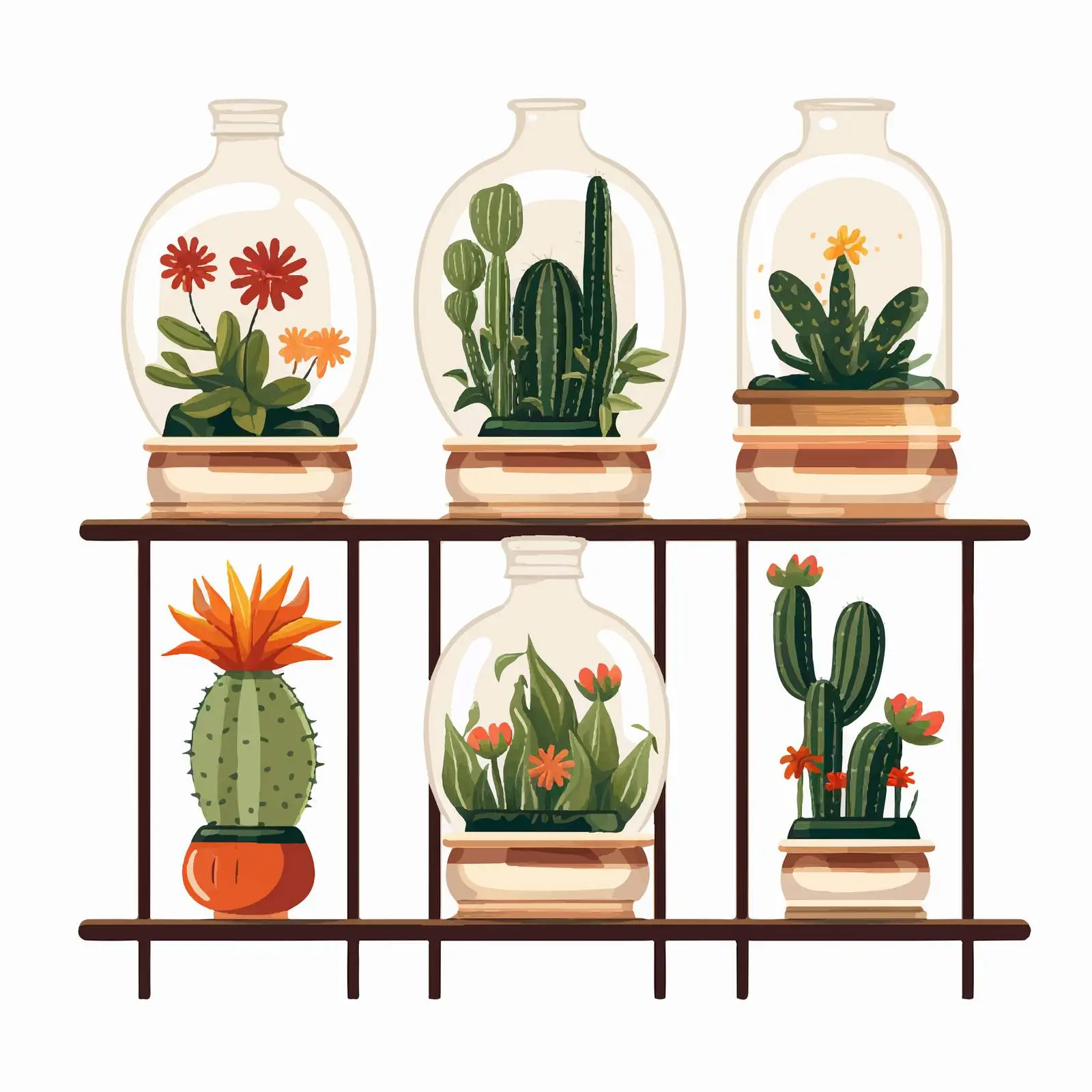 Home Decorative Plants in Glass Vivariums — free download from Dotvec