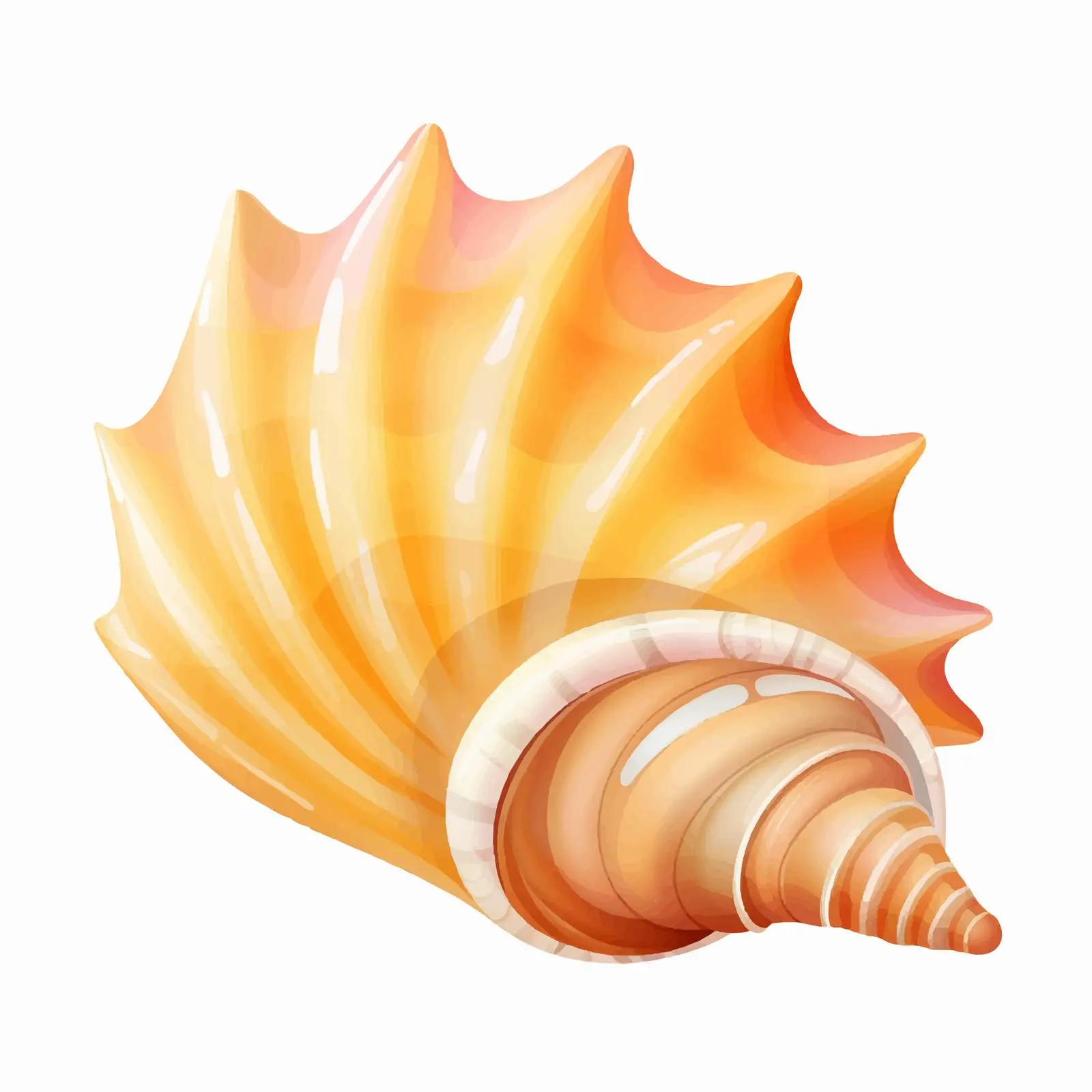 Conch Shell Vector Illustration on White Background — free download from Dotvec