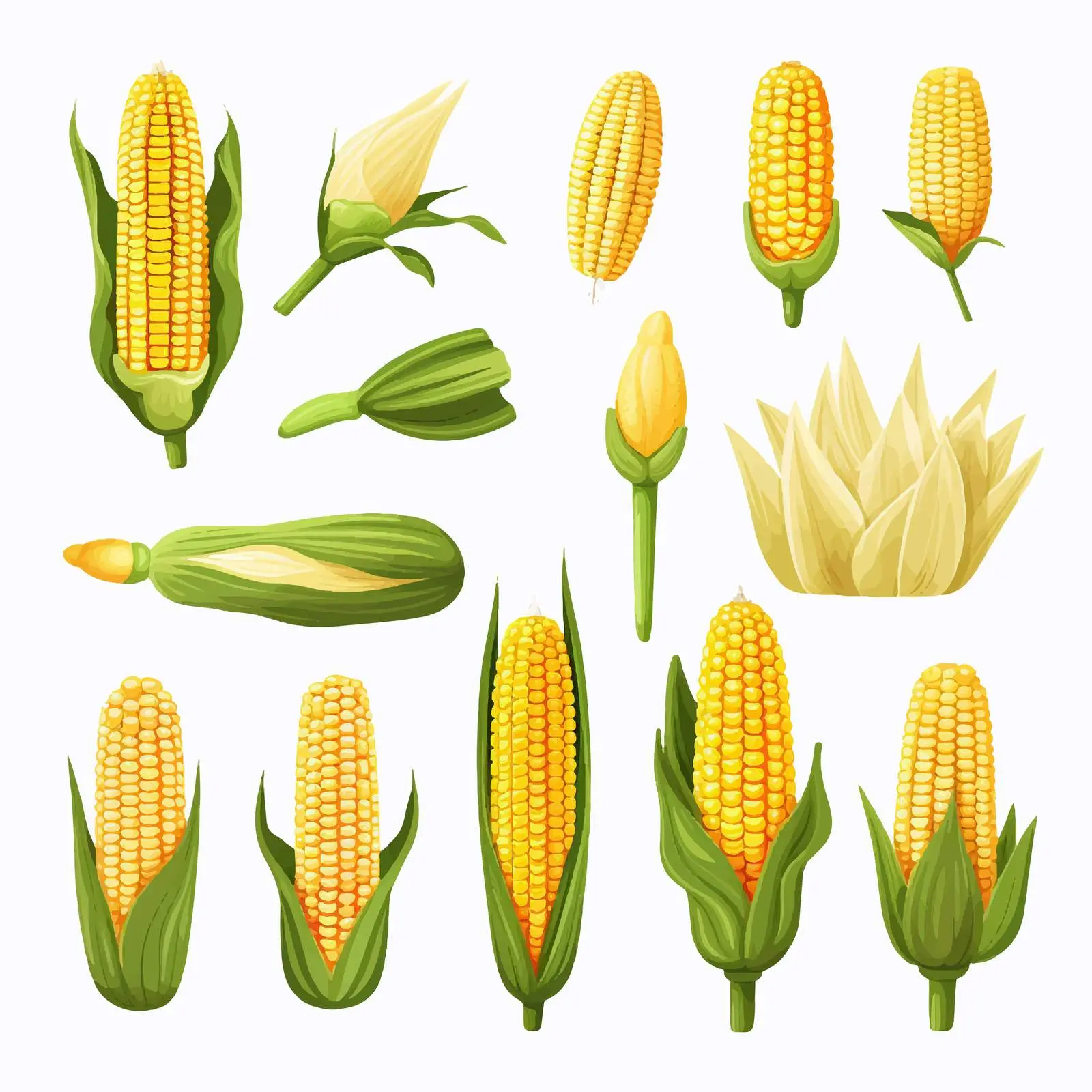 Corn Line Vector Illustration on White Background — free download from Dotvec