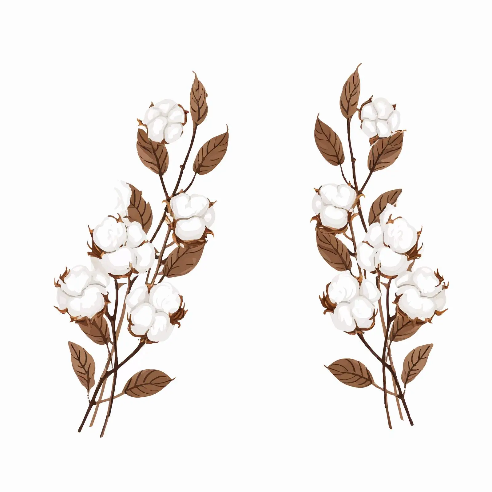 Cotton Line Vector Illustration on White Background — free download from Dotvec