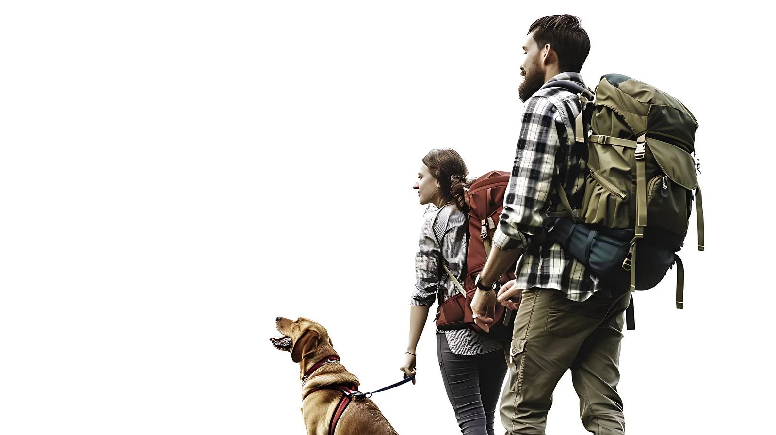 Hiking Couple with Dog in Forest — free download from Dotvec