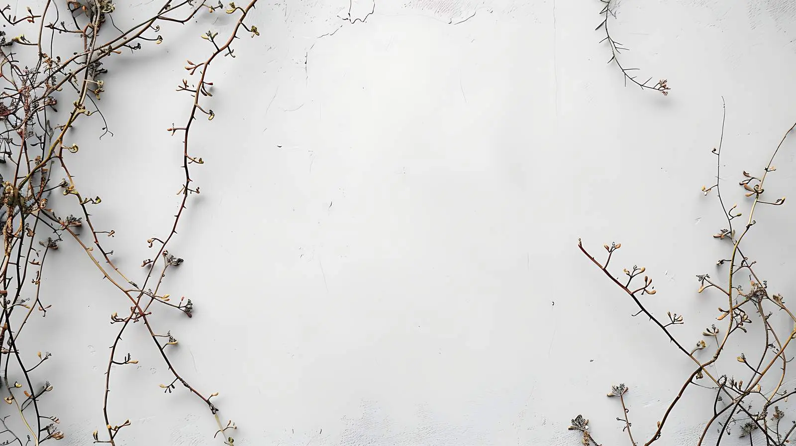 Creeper Branches on Grey Wall with Copy Space — free download from Dotvec