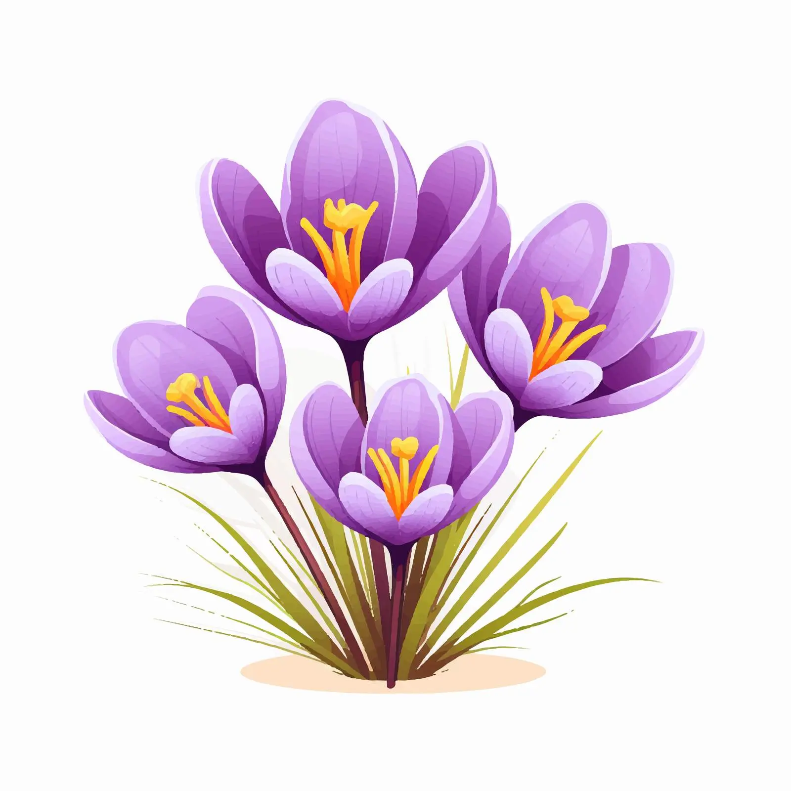 Crocus Flower Vector Illustration on White Background — free download from Dotvec