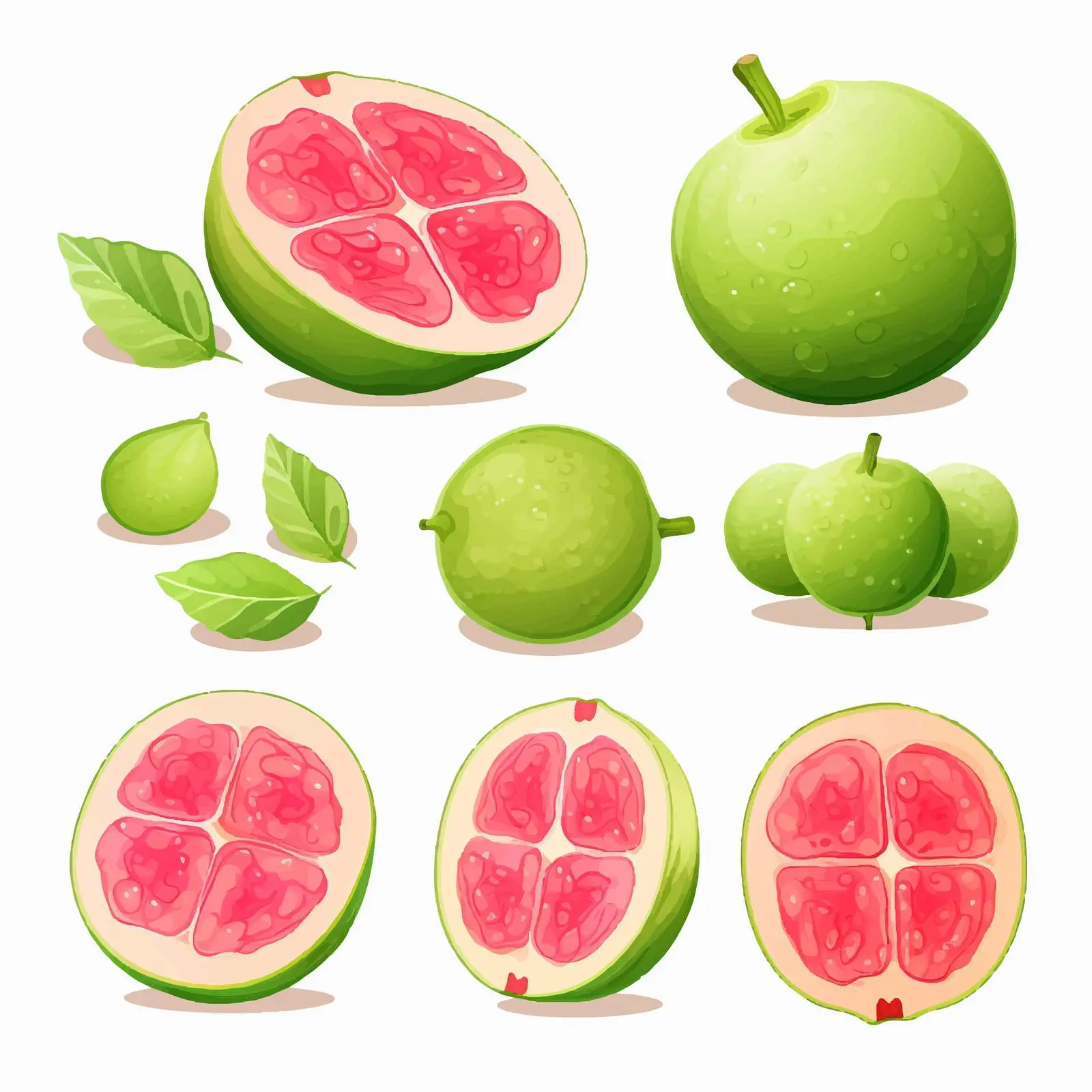 Crystal Guava Vector Illustration on White Background — free download from Dotvec