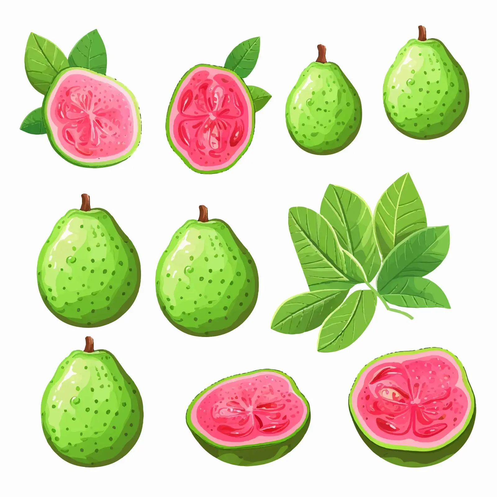 Crystal Guava Vector Illustration on White Background — free download from Dotvec