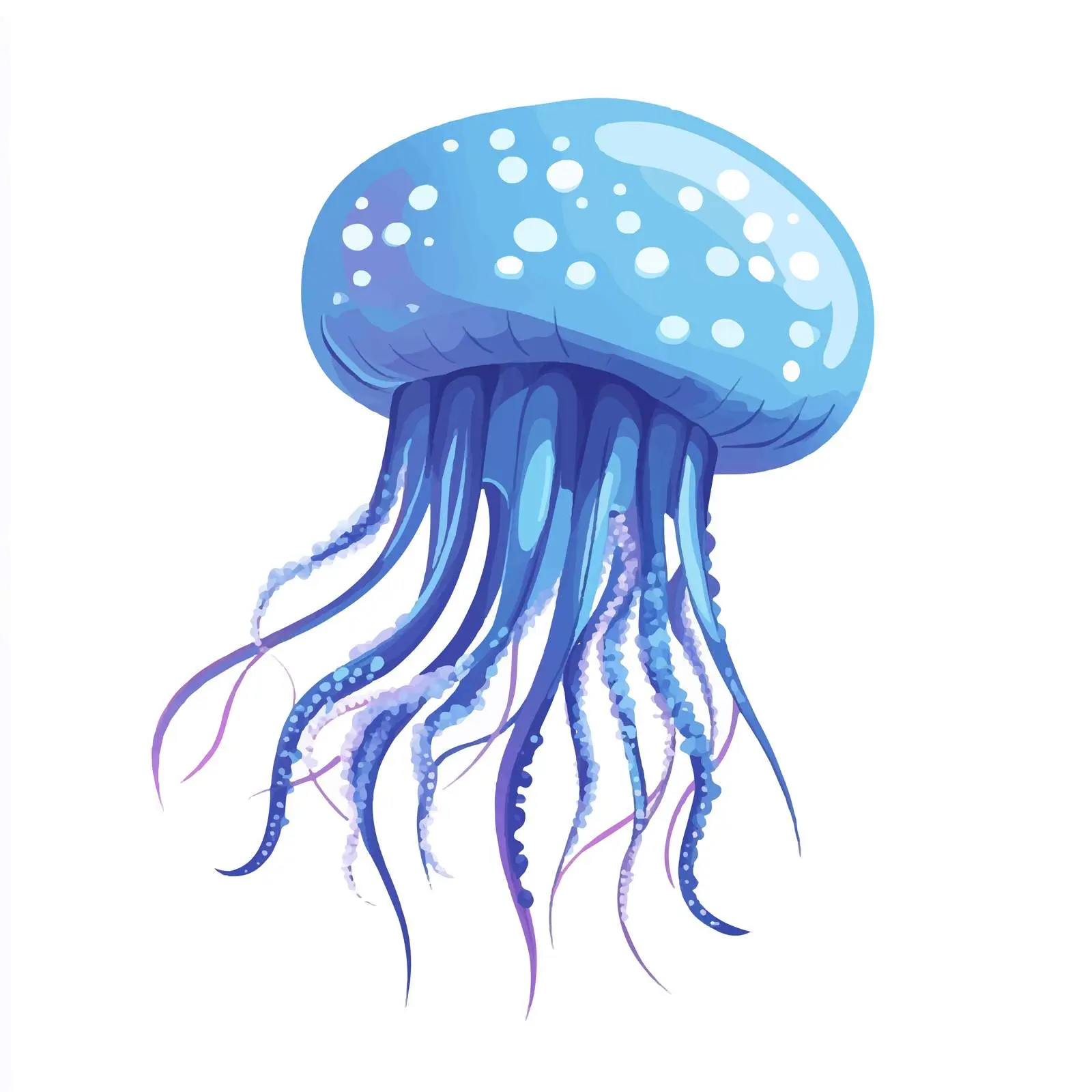 Cute Cartoon Jellyfish Vector Illustration – free marine biodiversity image from Dotvec