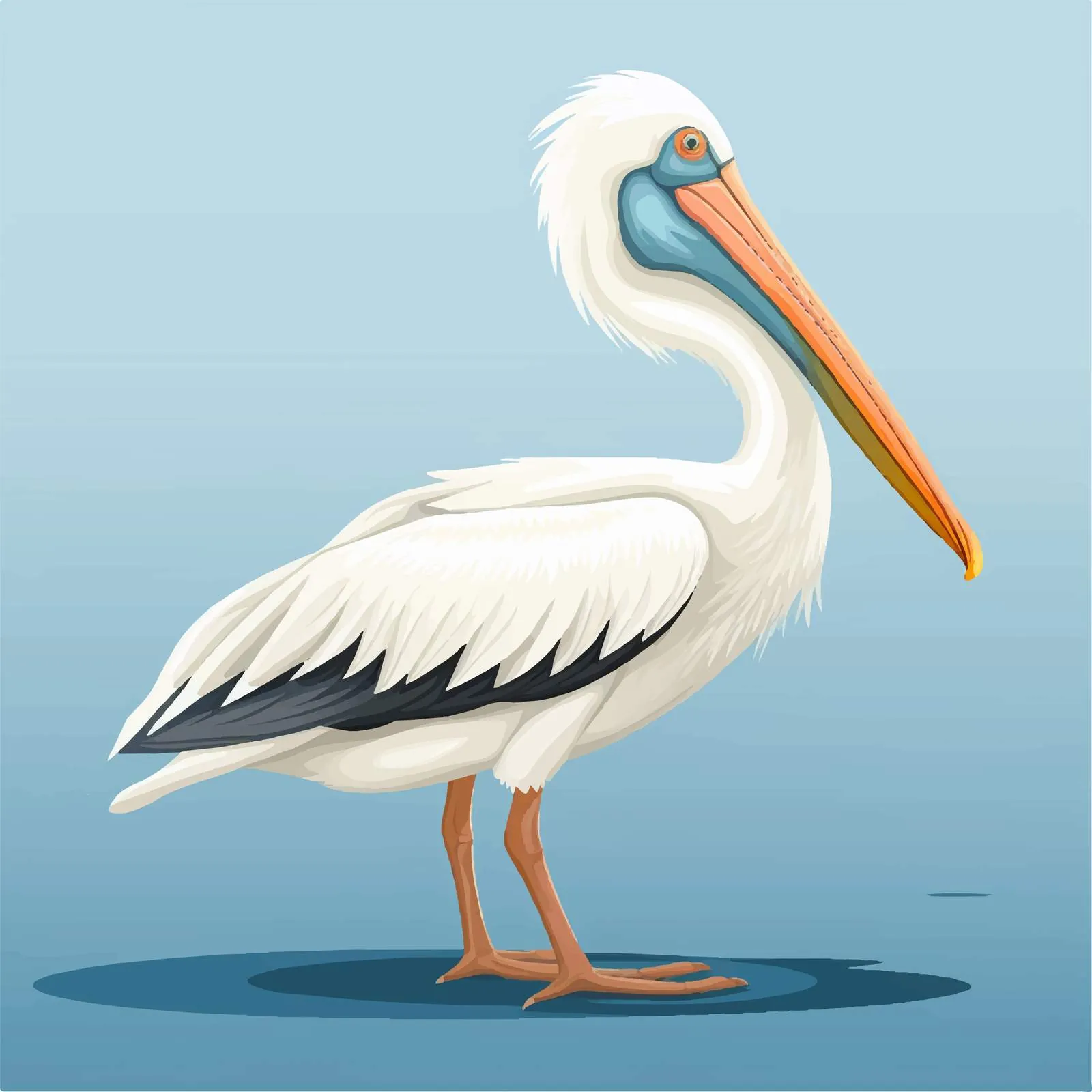 Cute Pelican with Big Beak Illustration — free download from Dotvec