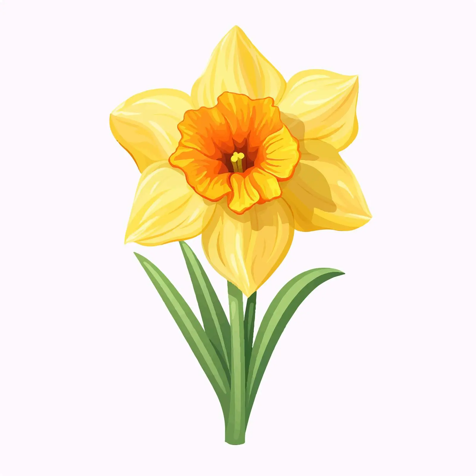 Daffodil Flower Vector Illustration on White Background — free download from Dotvec