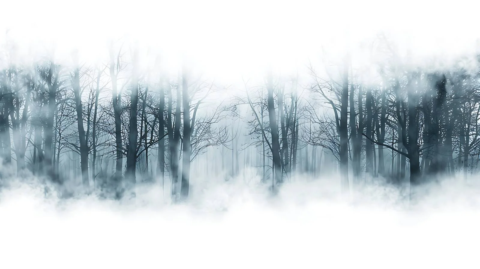 Mysterious Fog-Enshrouded Dark Forest Scene — free download from Dotvec