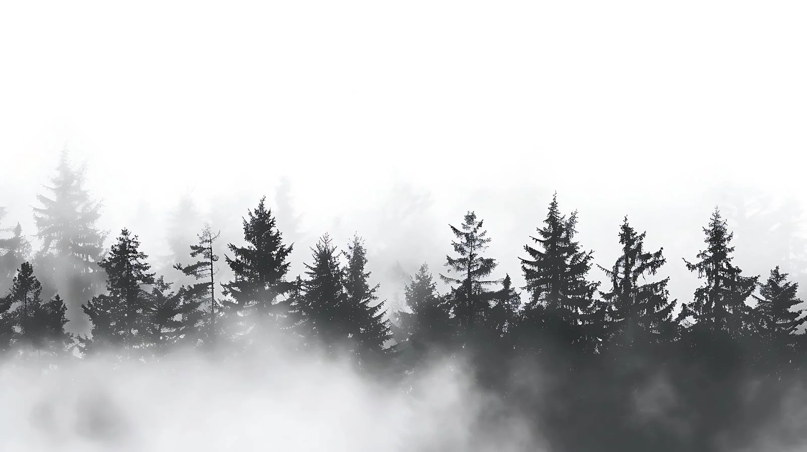 Misty forest enveloped in fog on white background — free download from Dotvec