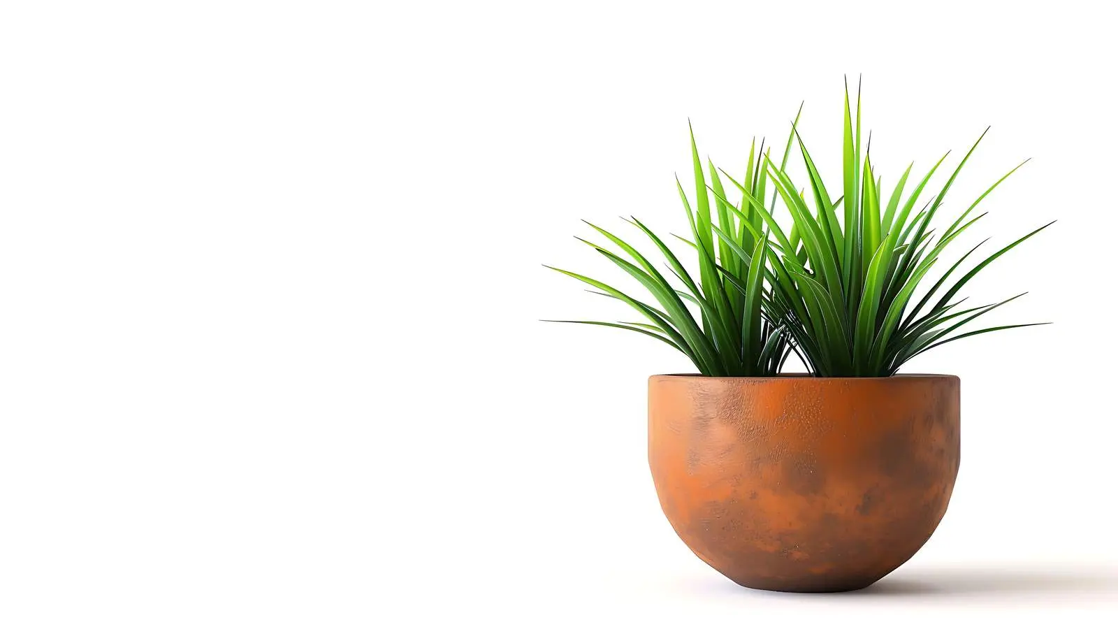 Decorative Plant in Flowerpot on White Background — free download from Dotvec