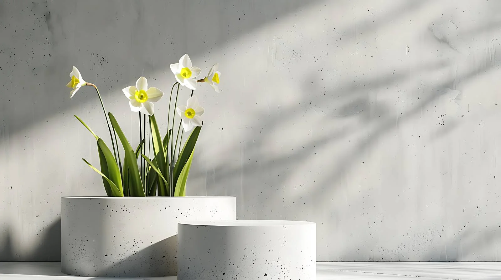 Elegant Daffodil Podium Decor Display — free download from Dotvec