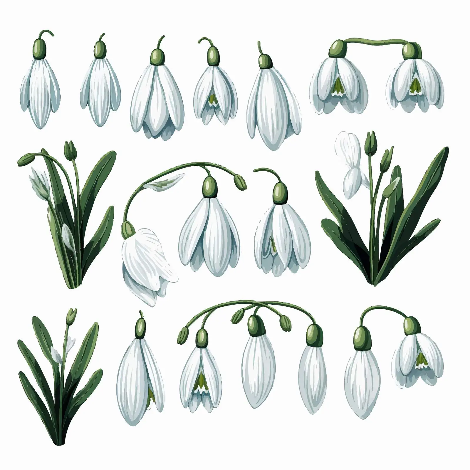 Textured Snowdrops Winter Christmas Elements Pack — free download from Dotvec