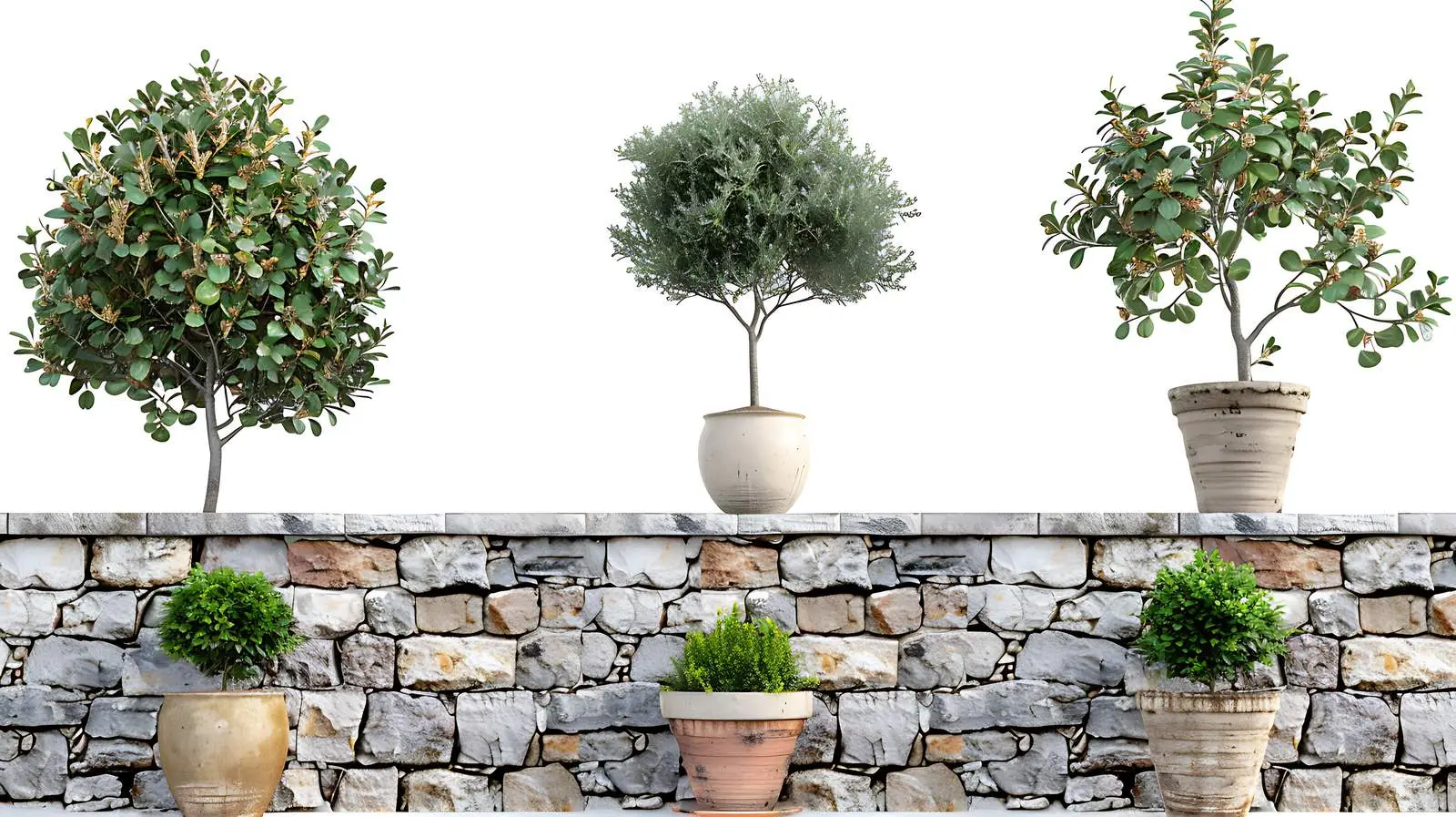Decorative Trees in Pots on Medieval Stone Wall – free home aesthetics image from Dotvec
