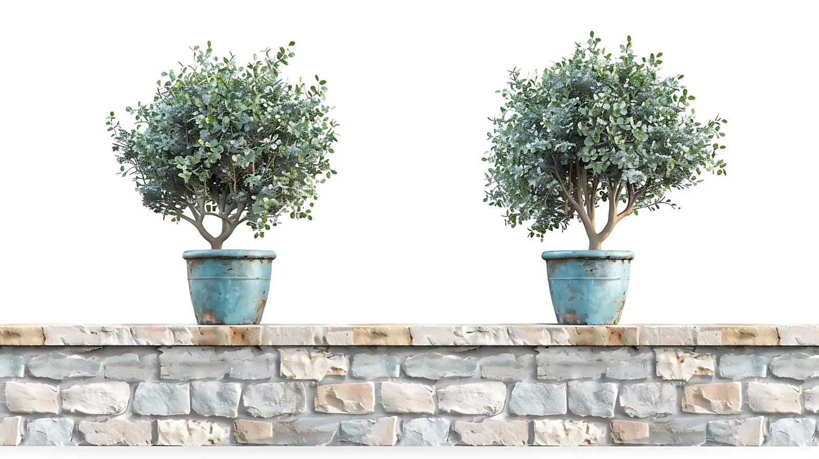 Decorative Trees in Pots on Stone Wall — free download from Dotvec