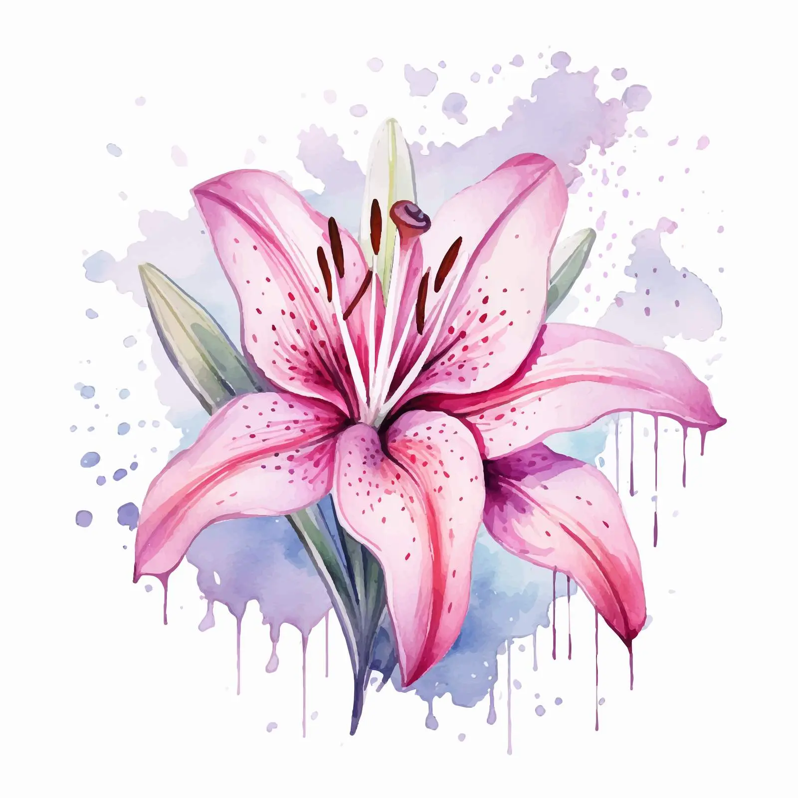 Delicate Watercolor Lily Flower Vectors — free download from Dotvec