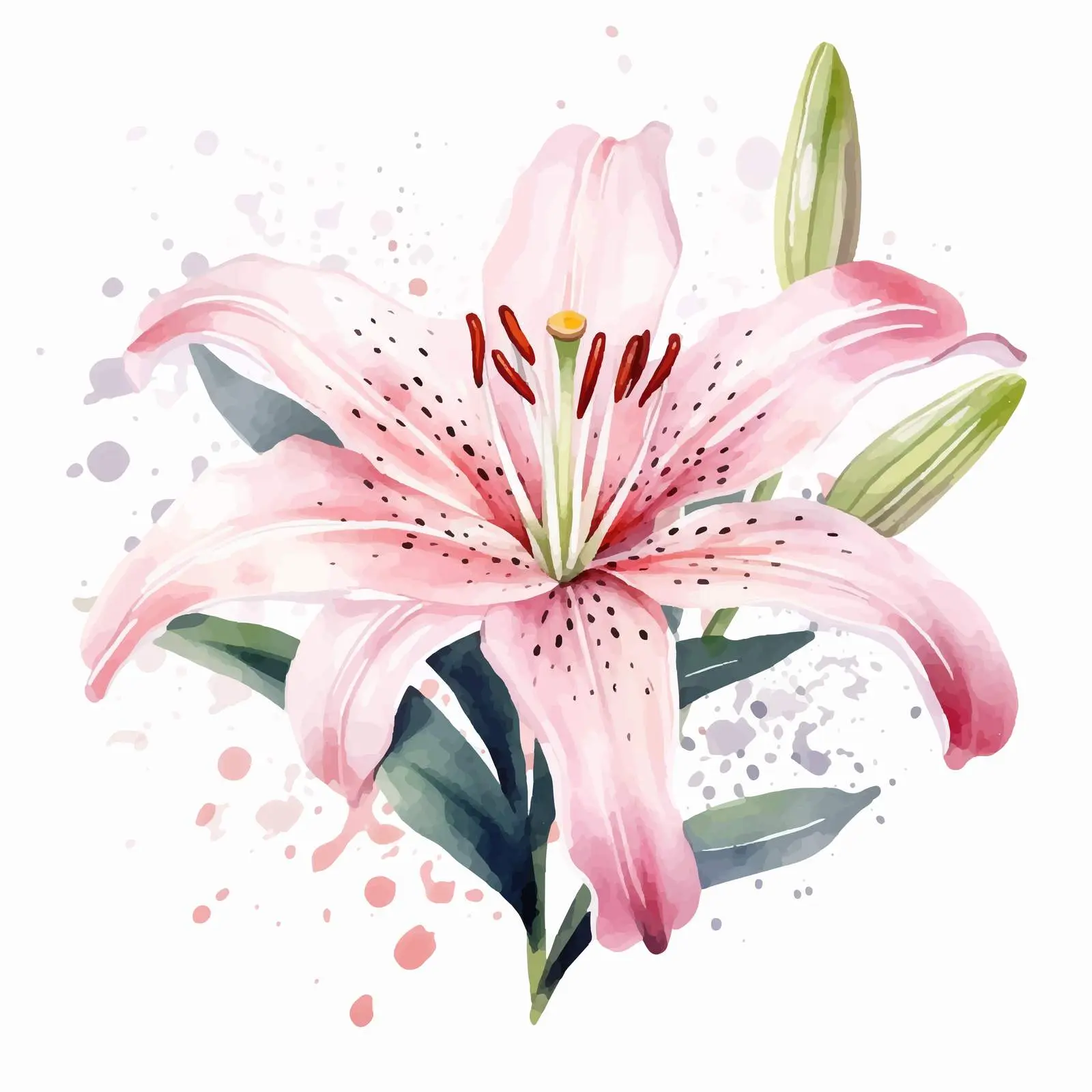 Delicate Watercolor Lily Flower Vectors — free download from Dotvec