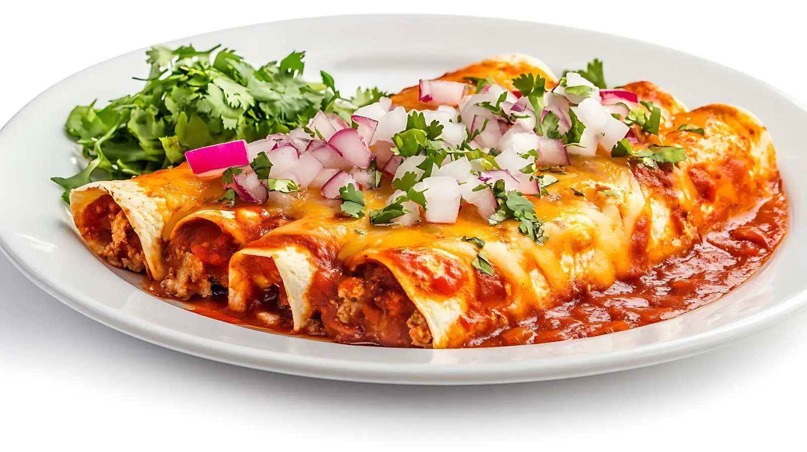 Savory Enchiladas Presentation — free download from Dotvec