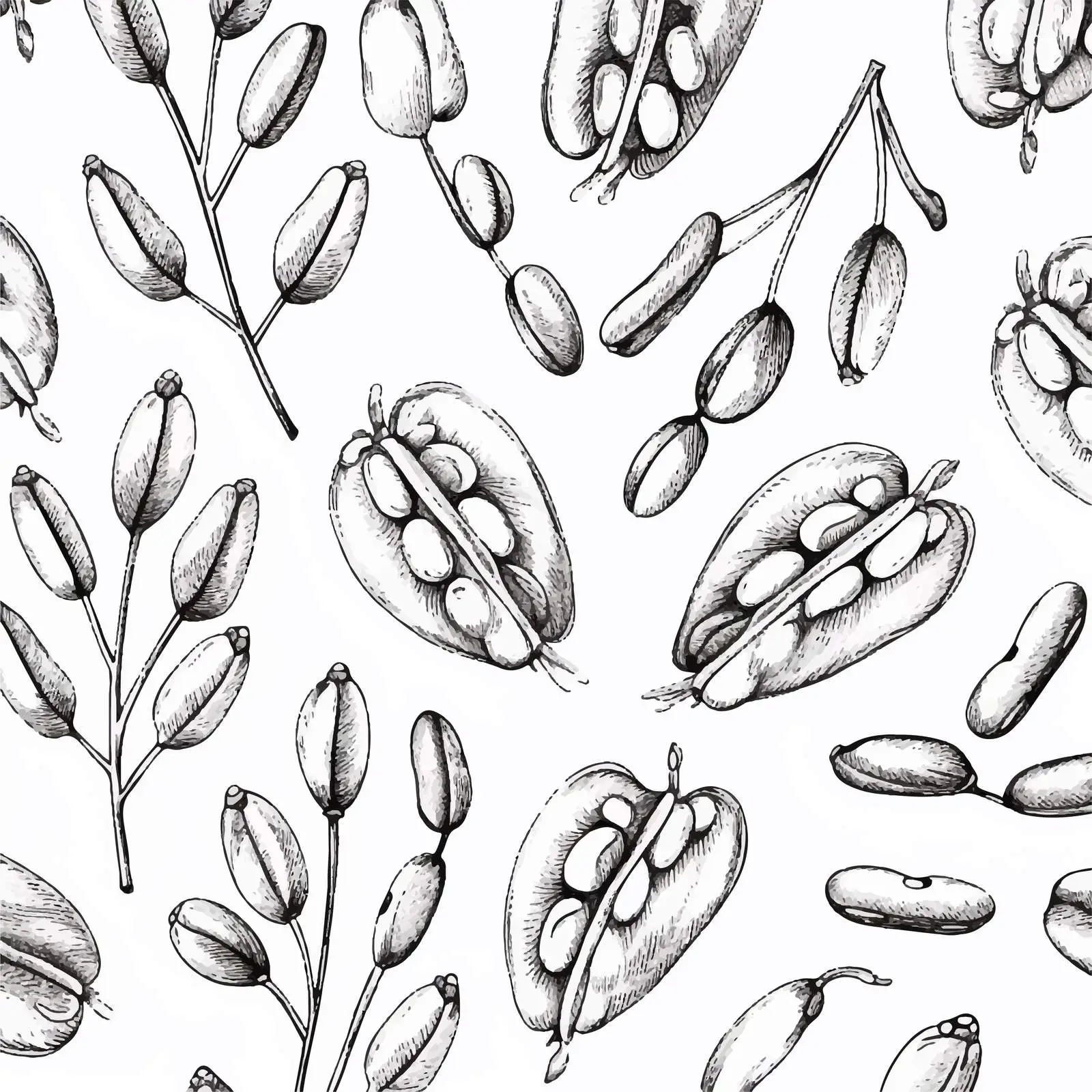 Monochrome Seamless Pattern of Beans and Grains — free download from Dotvec
