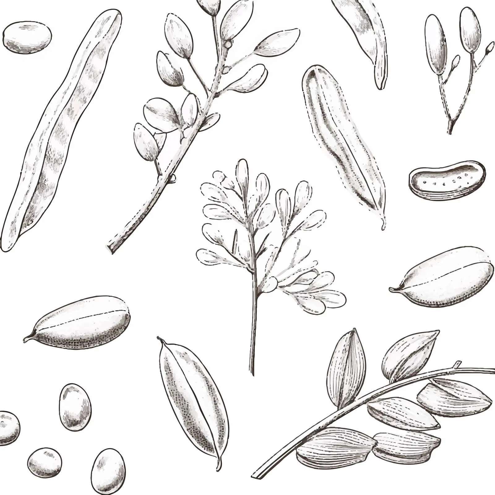 Monochrome Seamless Pattern of Beans and Grains — free download from Dotvec