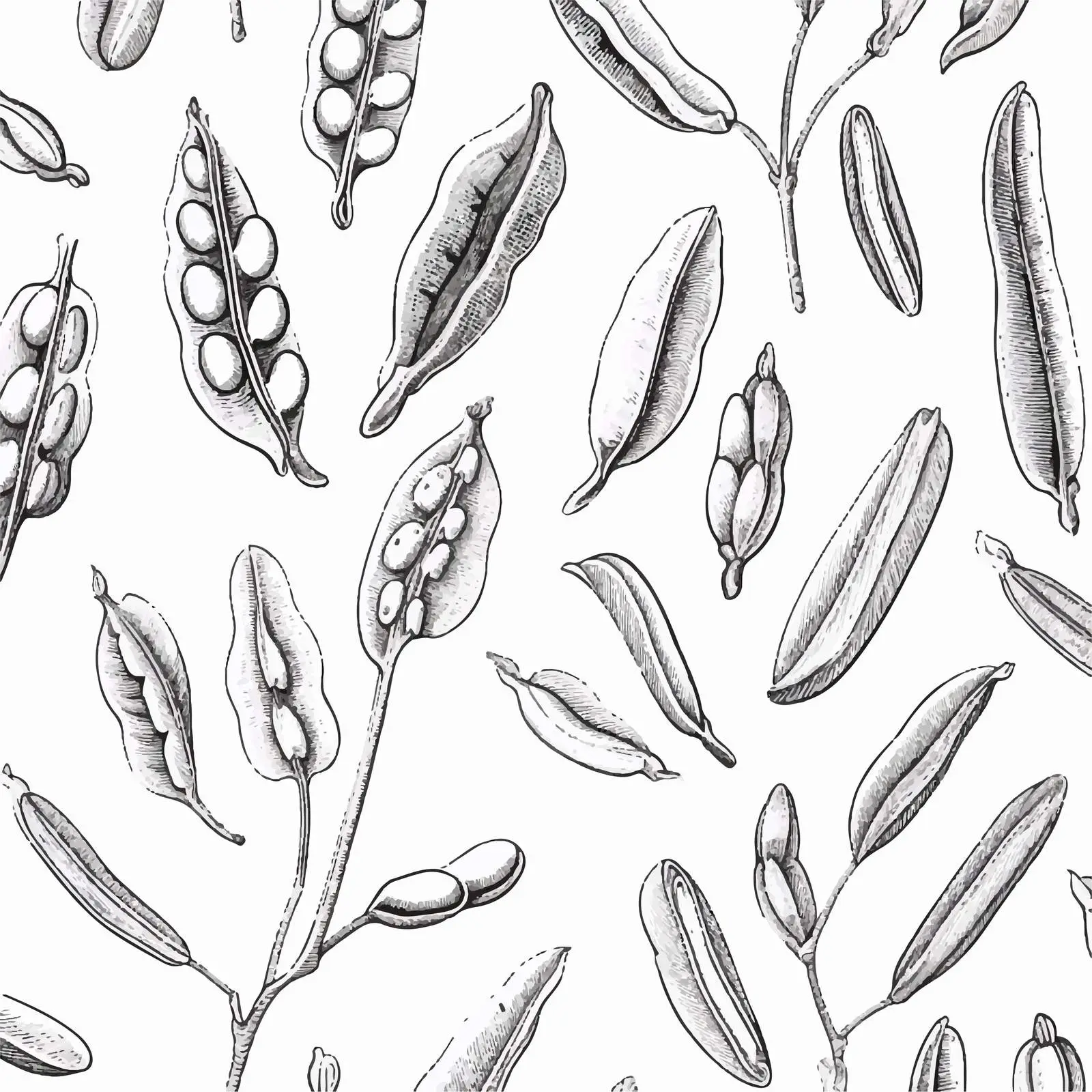 Monochrome Seamless Pattern of Beans and Grains — free download from Dotvec