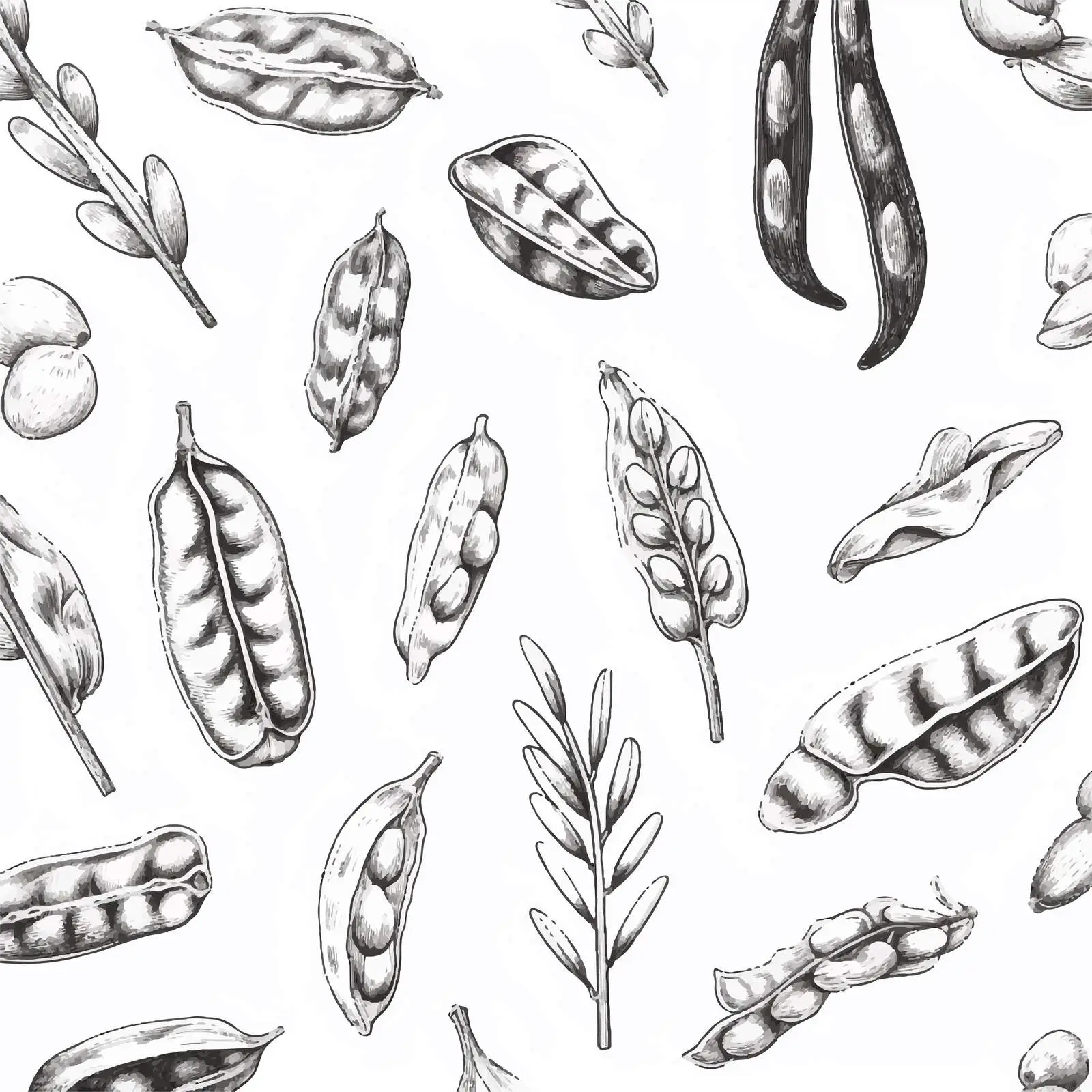 Monochrome Seamless Pattern of Beans and Grains — free download from Dotvec
