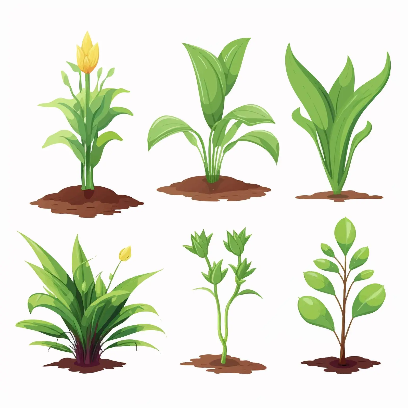 Stages of Plant Growth Vector Illustration — free download from Dotvec