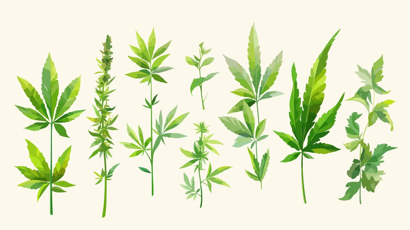Vibrant Realistic Green Hemp Seeds Collection — free download from Dotvec