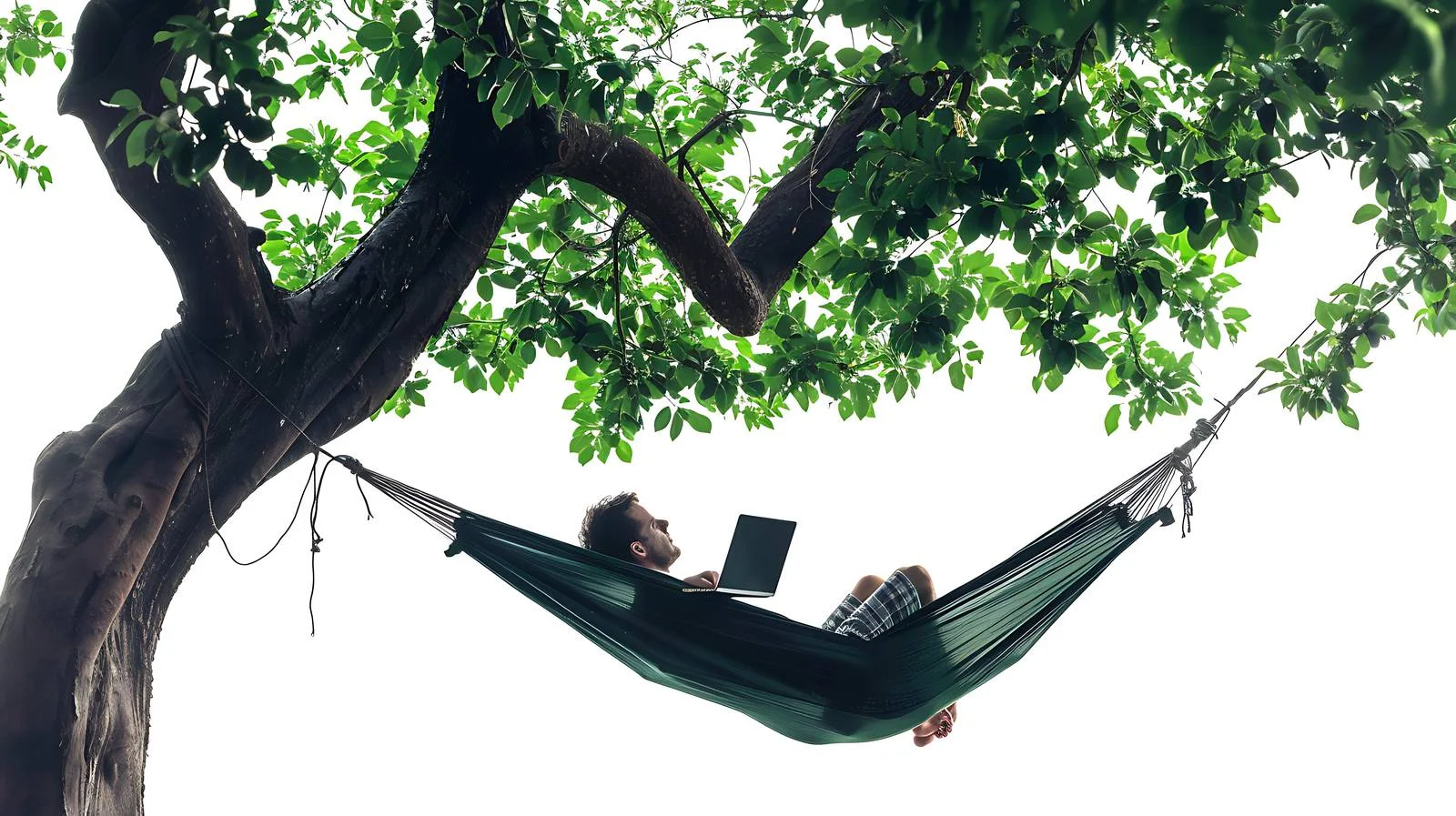 Remote worker in hammock amid lush trees — free download from Dotvec