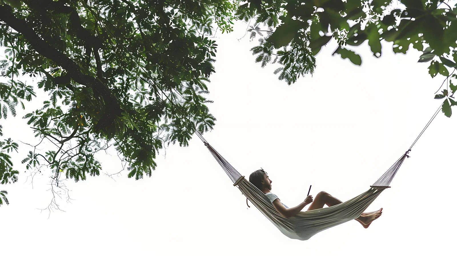 Remote worker in hammock among trees — free download from Dotvec