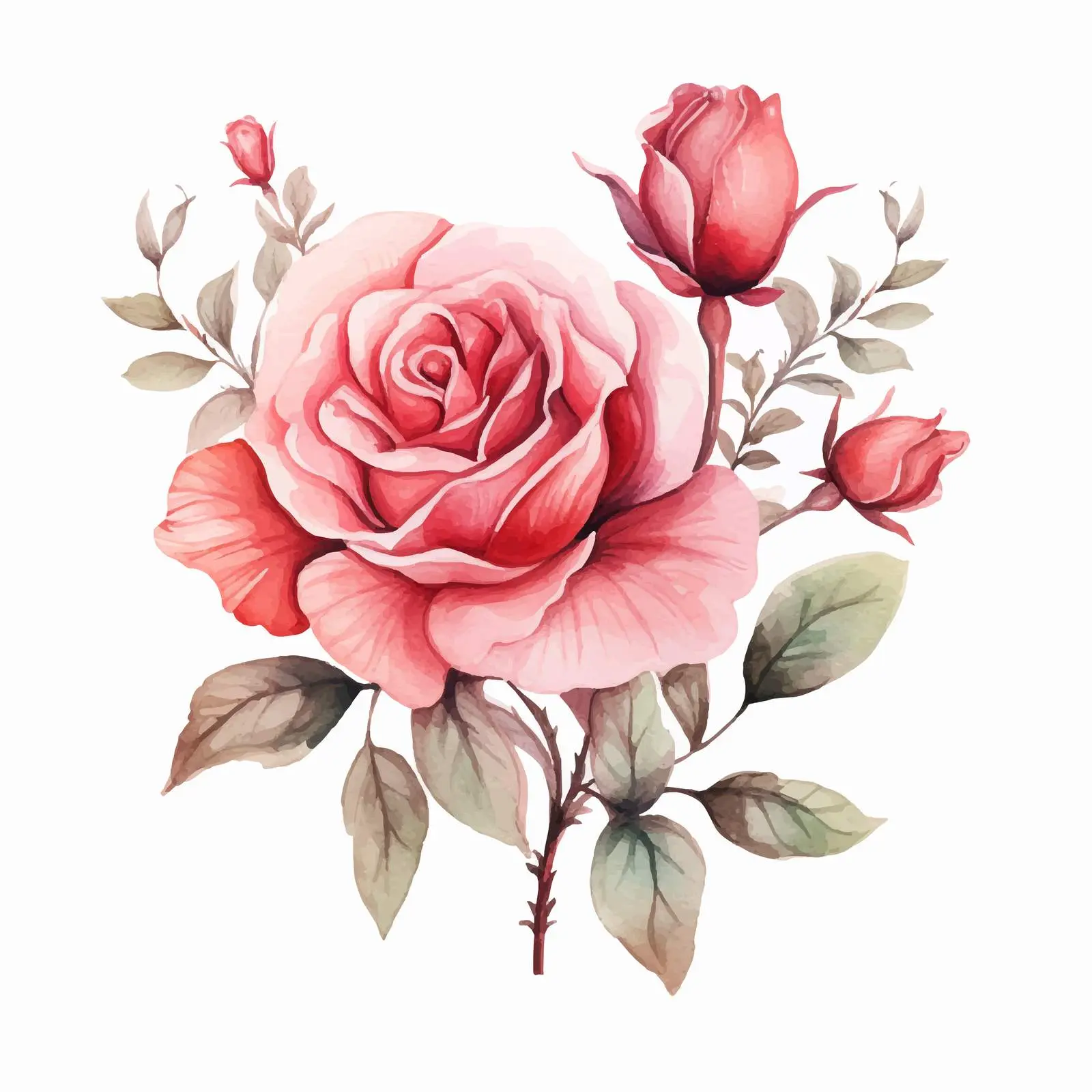 Floral Watercolor Rose Invitation Graphic — free download from Dotvec