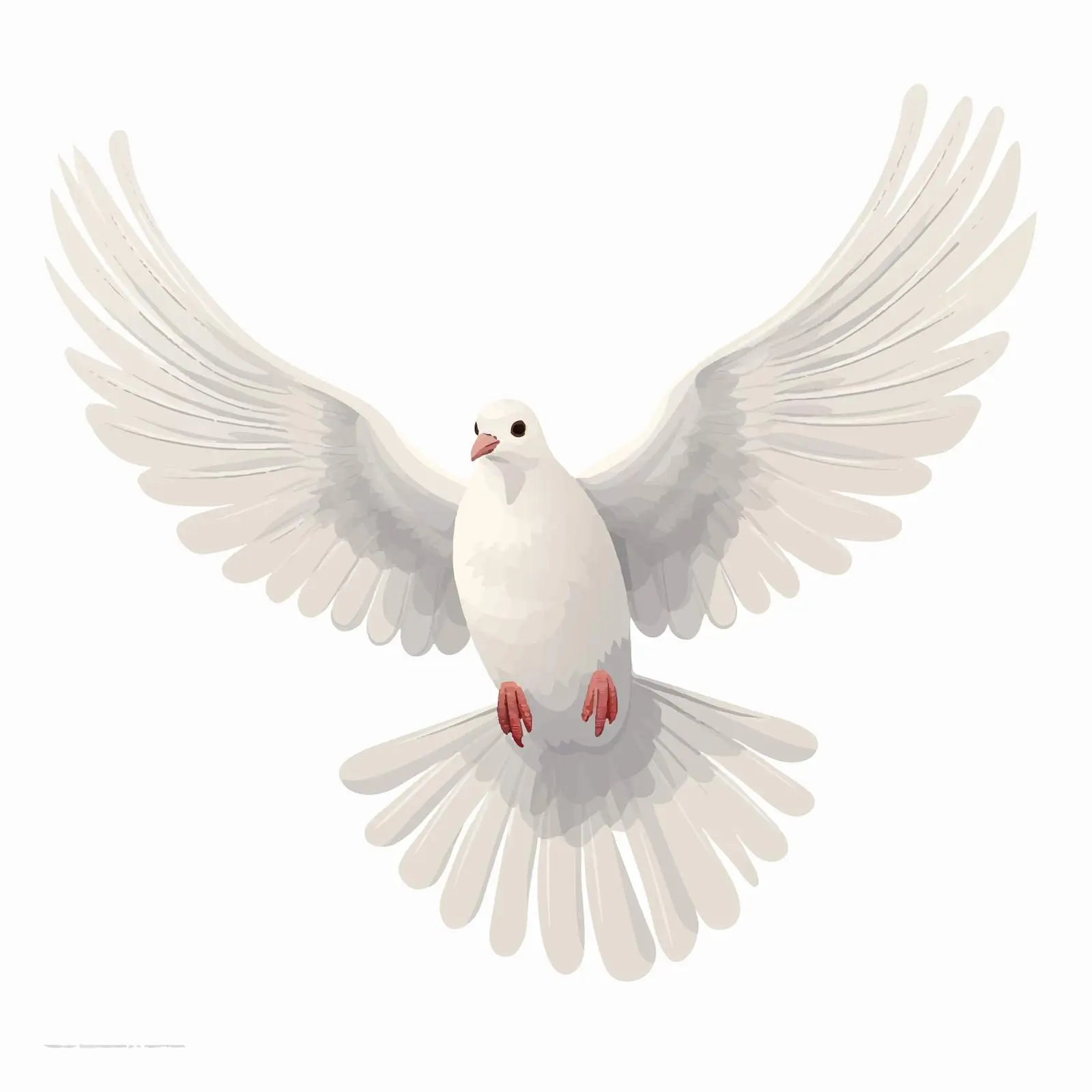 Top View Dove Vector Illustration on White Background — free download from Dotvec