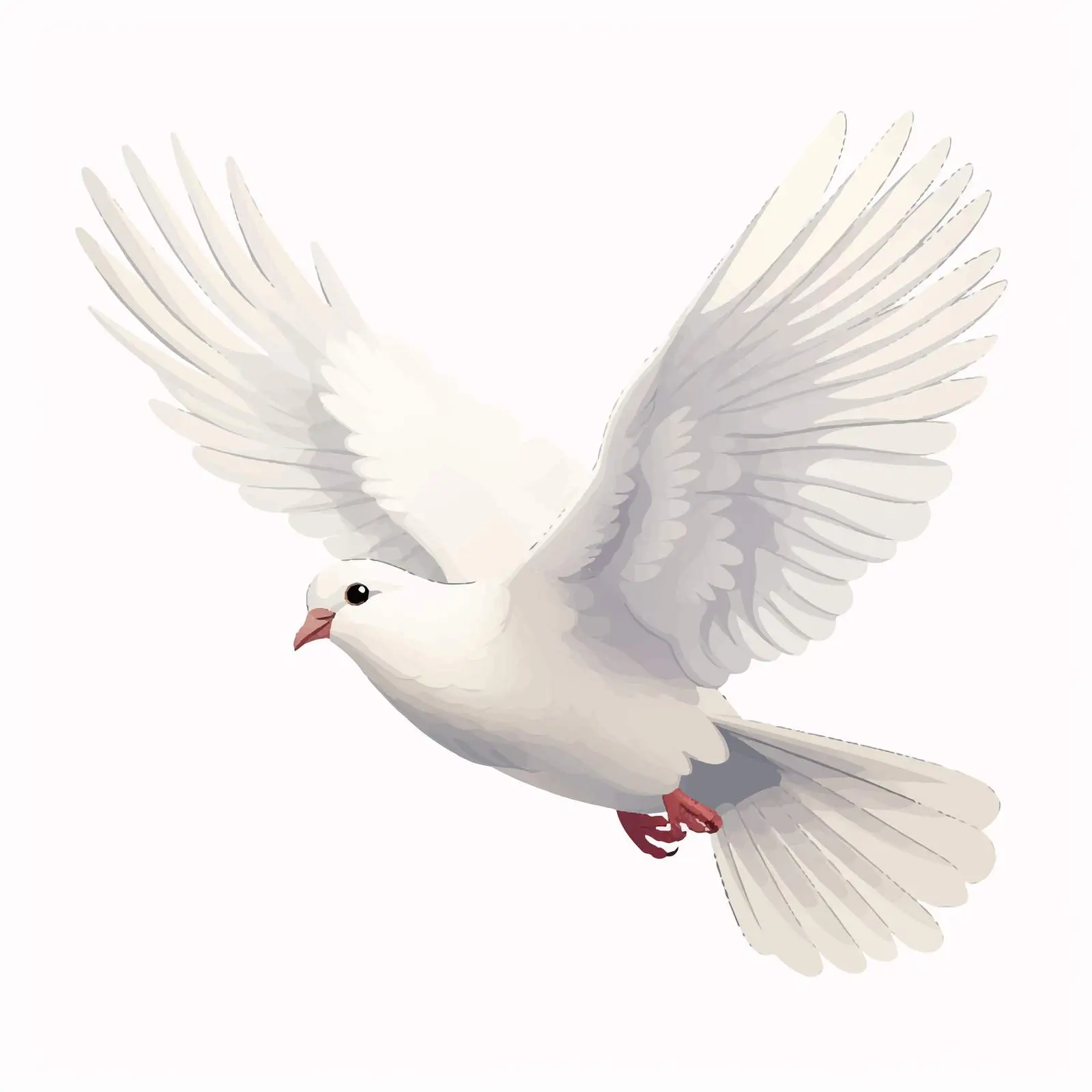 Top View Dove Vector Illustration on White Background — free download from Dotvec