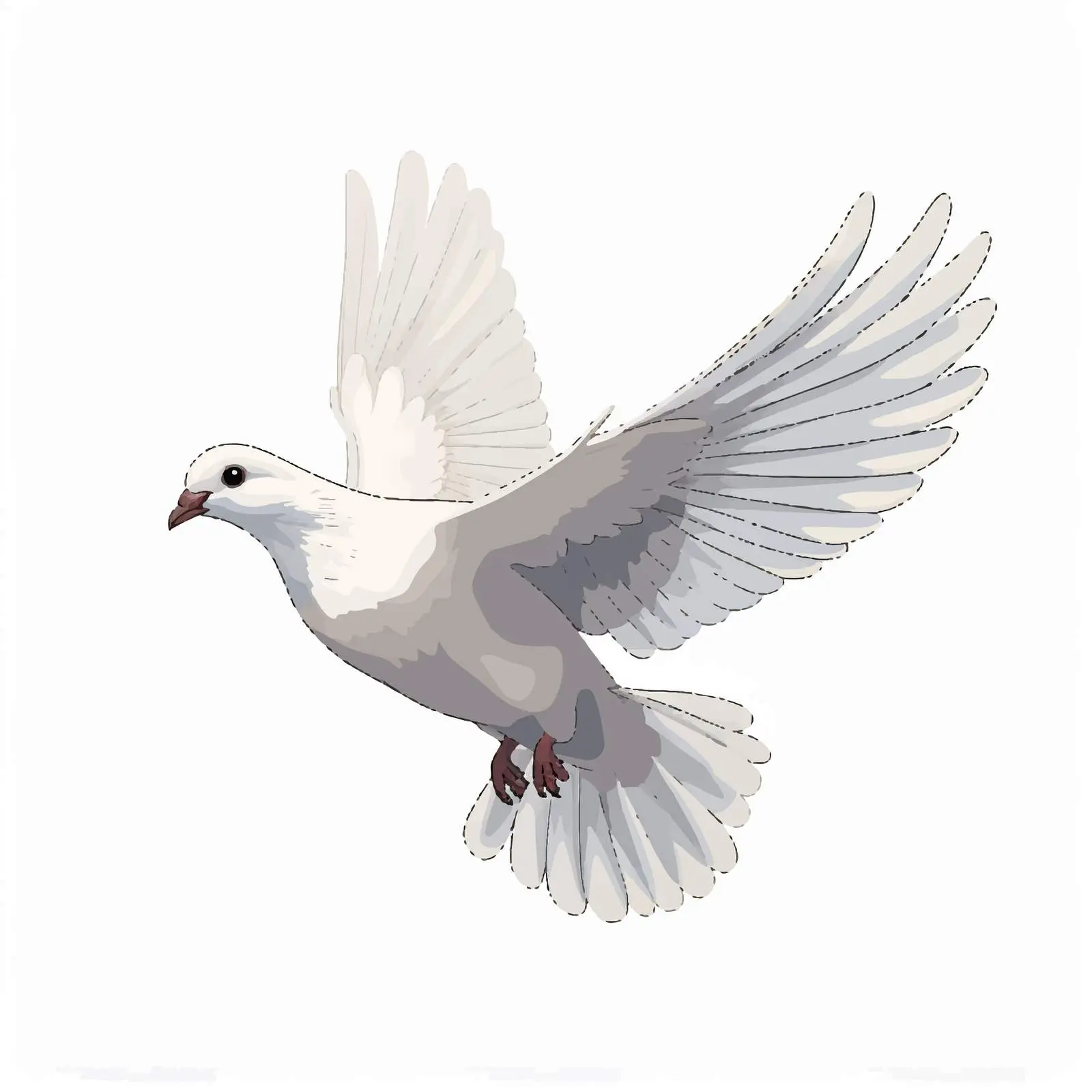 Top View Dove Vector Illustration on White Background — free download from Dotvec