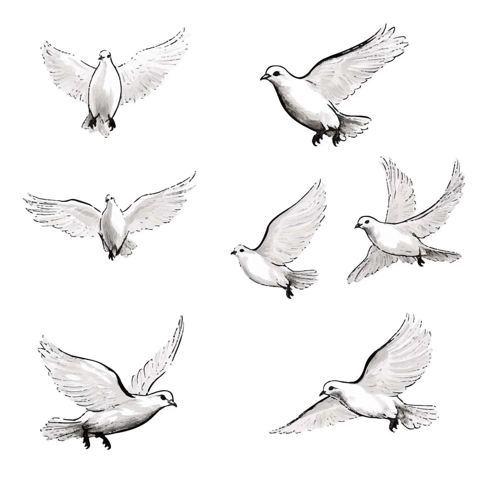 Cartoon Doves Sketch on White Background — free download from Dotvec