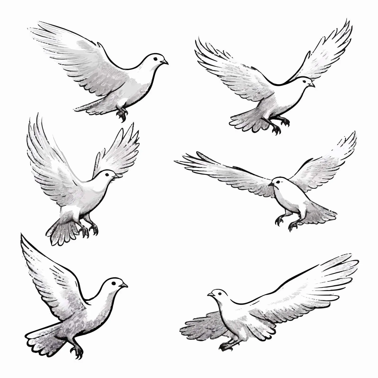 Cartoon Doves Sketch Vector Illustration — free download from Dotvec