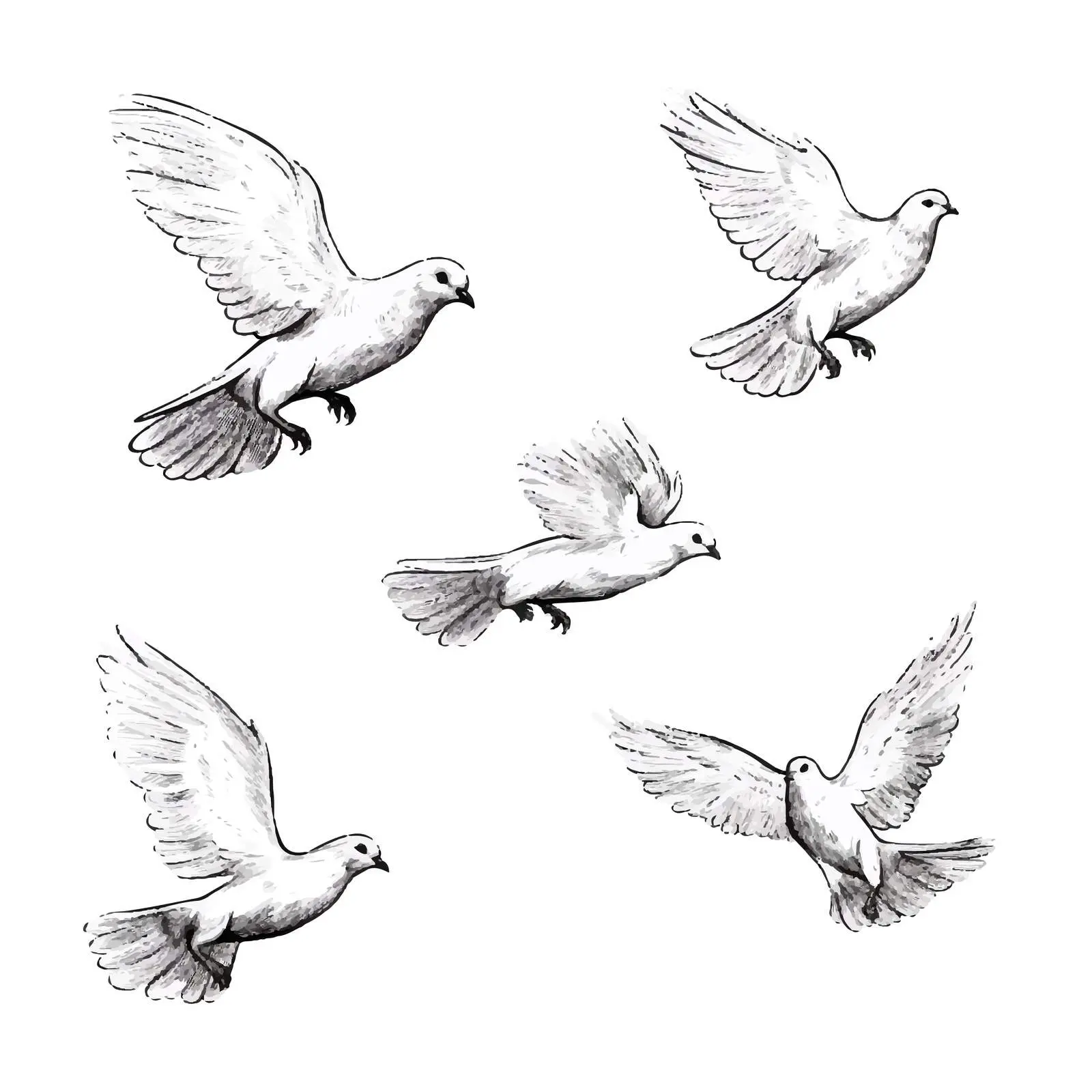 Cartoon Doves Vector Sketch on White Background — free download from Dotvec