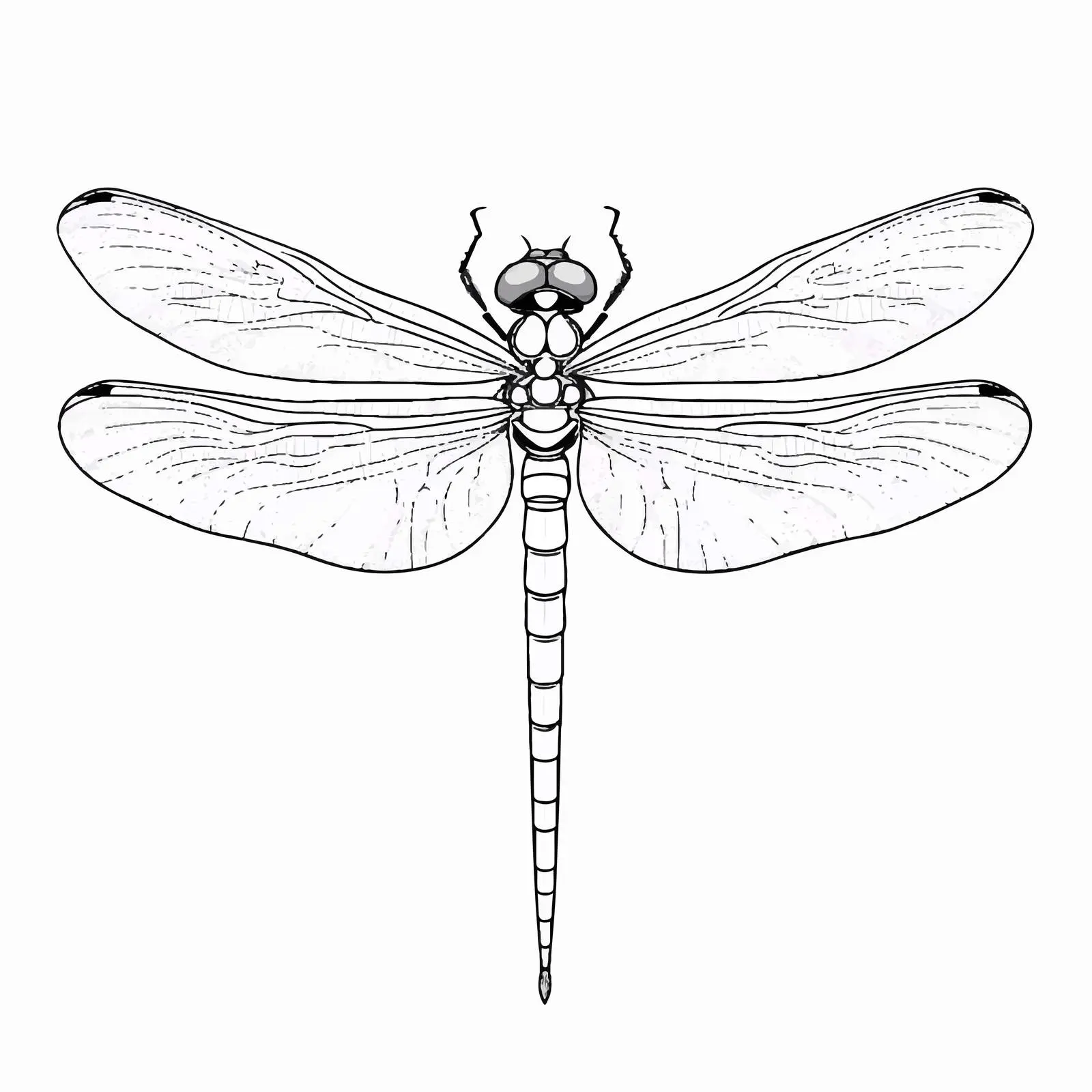 Dragonfly Outline Vector Illustration on White Background — free download from Dotvec