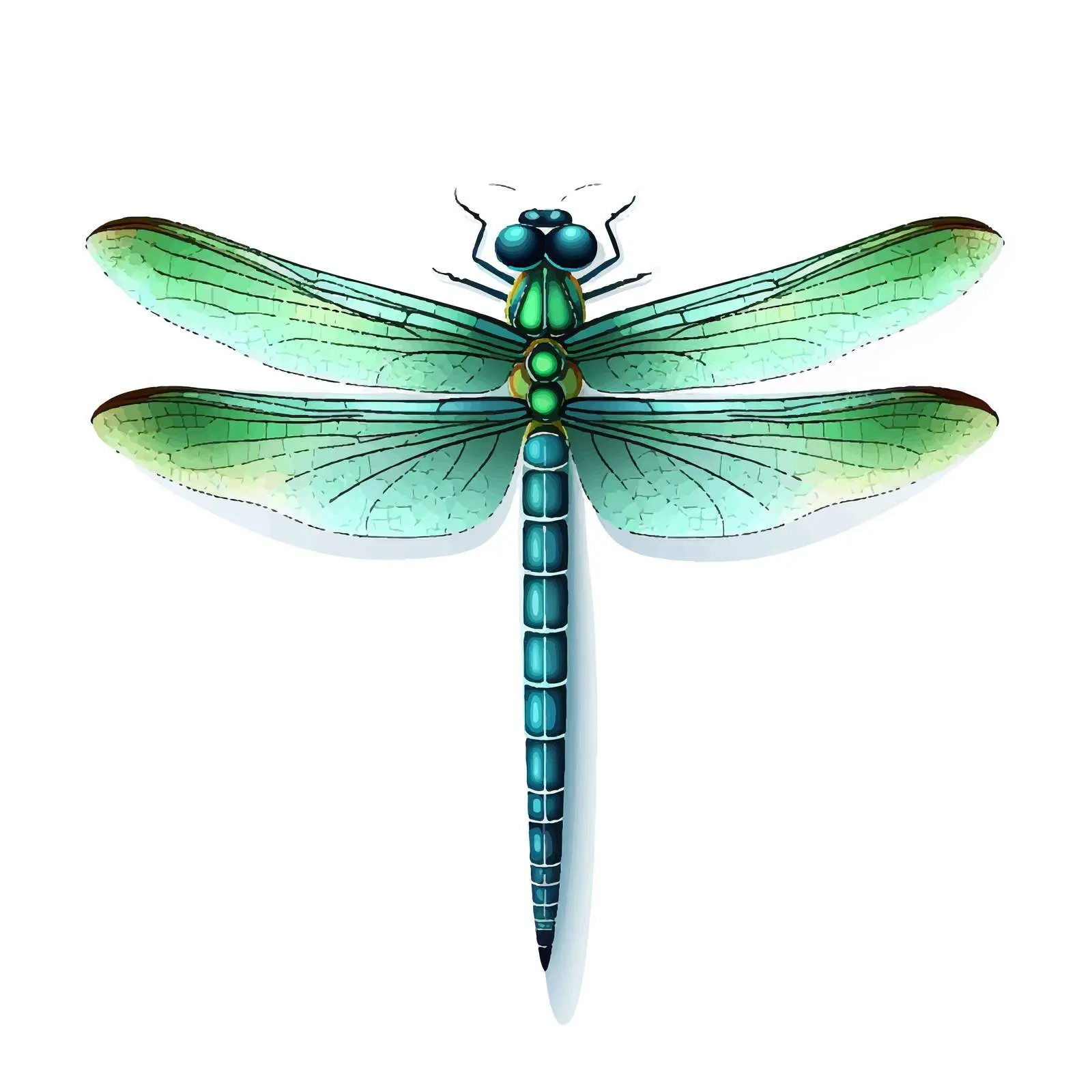 Isolated Dragonfly Vector Illustration on White Background – free dragonfly image from Dotvec