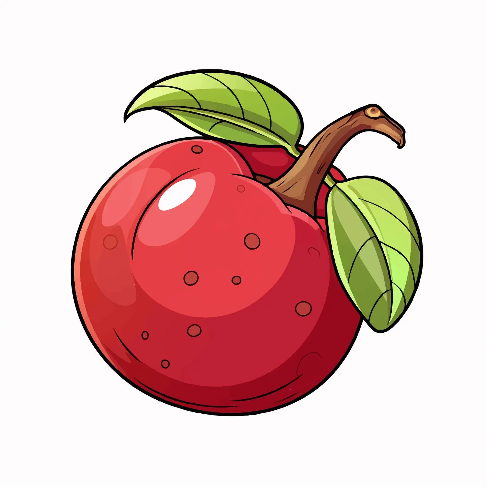 Mangosteen Illustration for Educational Purposes — free download from Dotvec