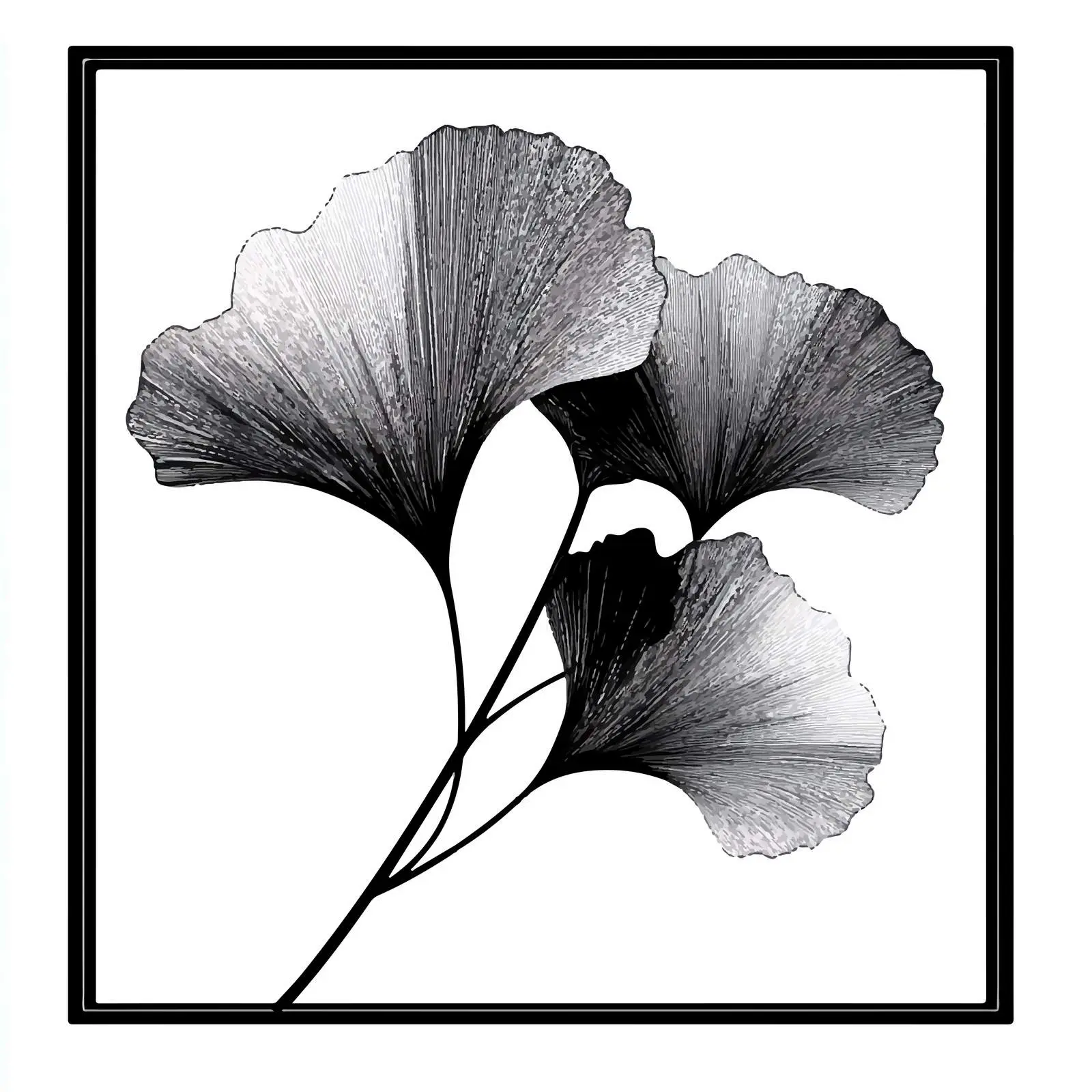 Ginkgo Biloba Black Vector Silhouette — free download from Dotvec