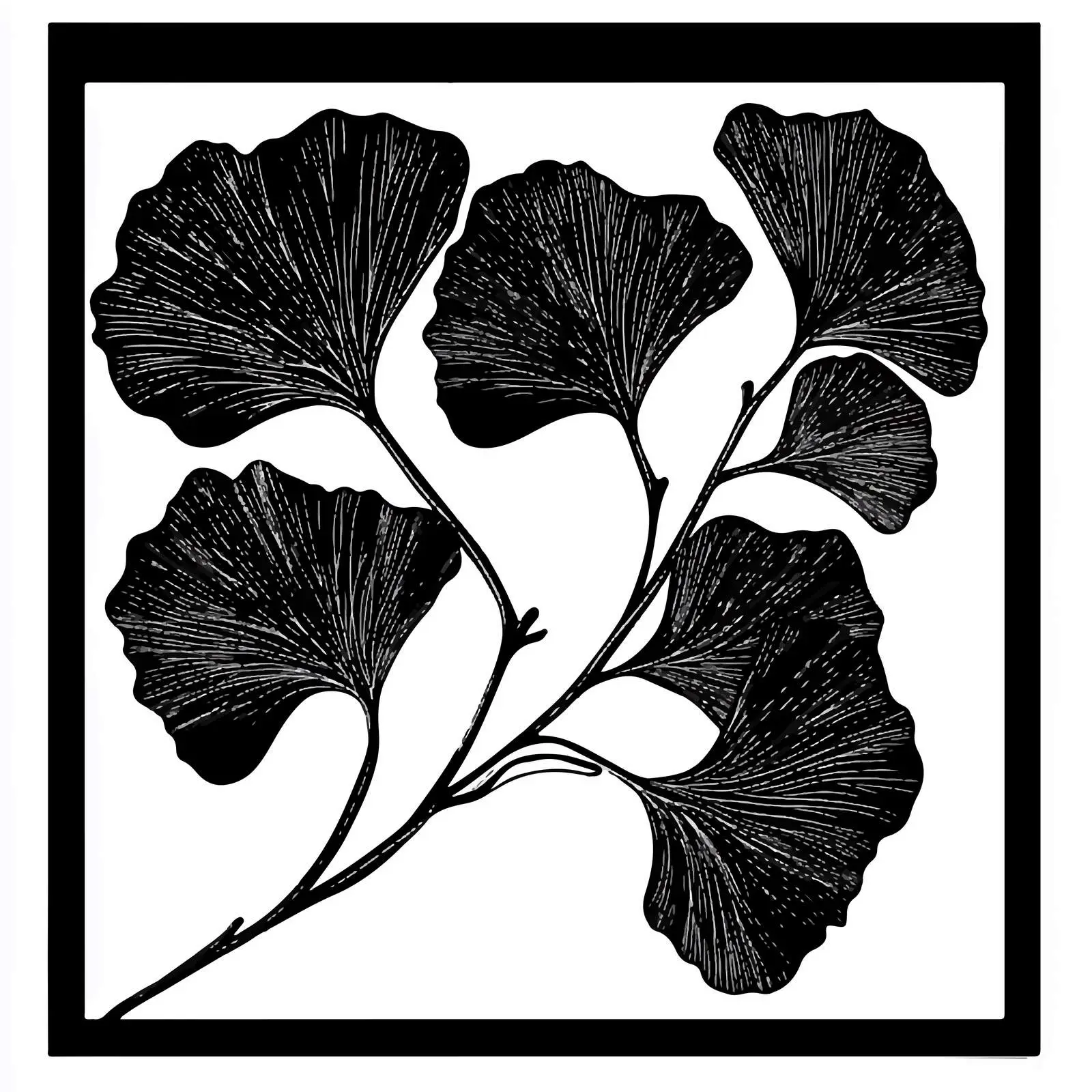 Ginkgo Biloba Black Vector Silhouette — free download from Dotvec